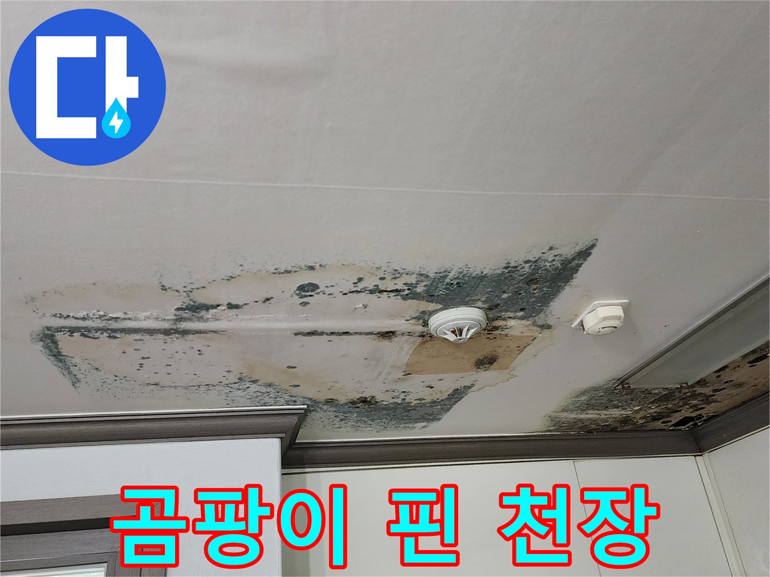 물샘으로 인해 검게 변색되고 곰팡이가 발생한 천장