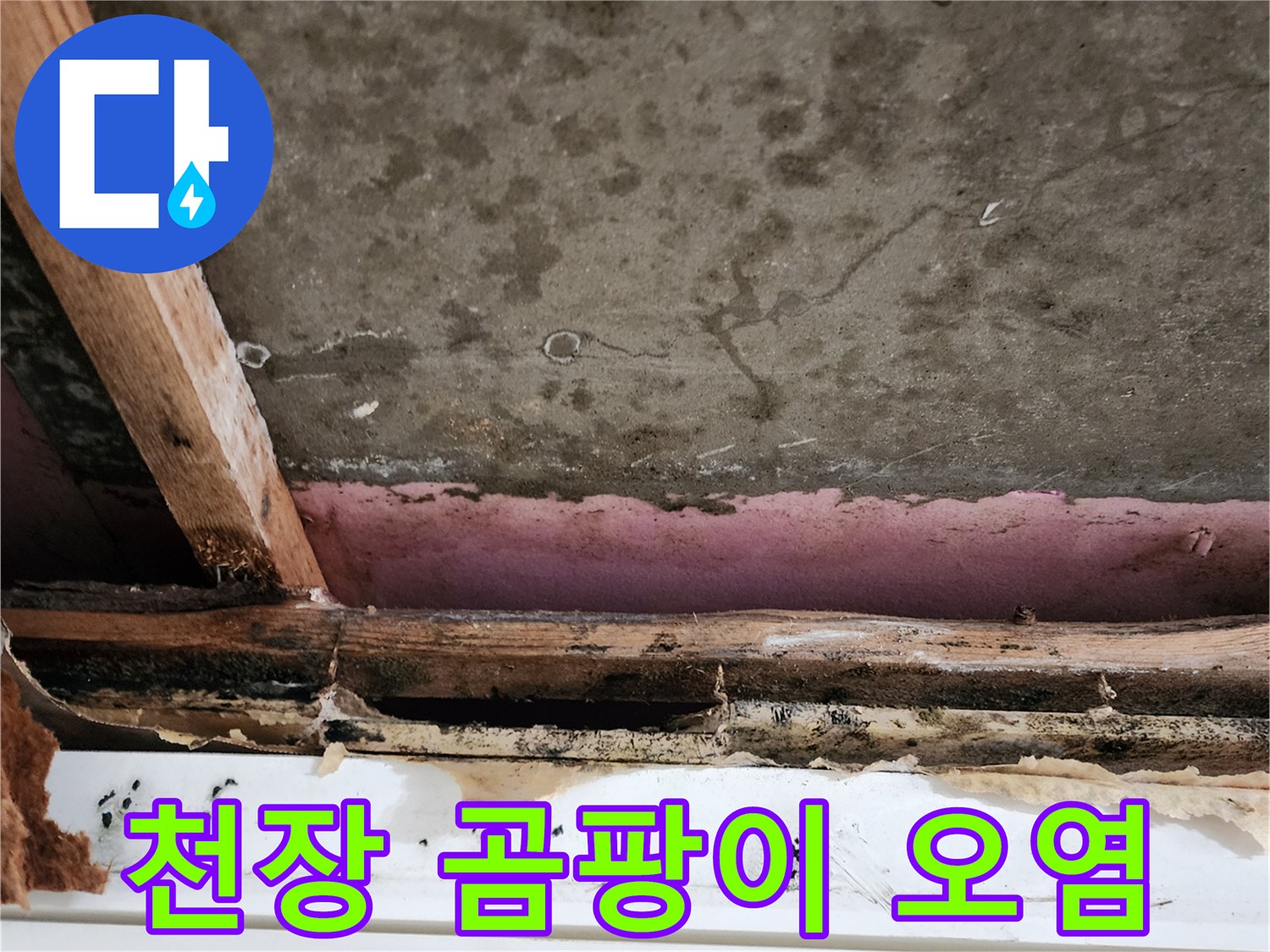 습기에 노출되어-부식된-천장 구조재와 석고보드