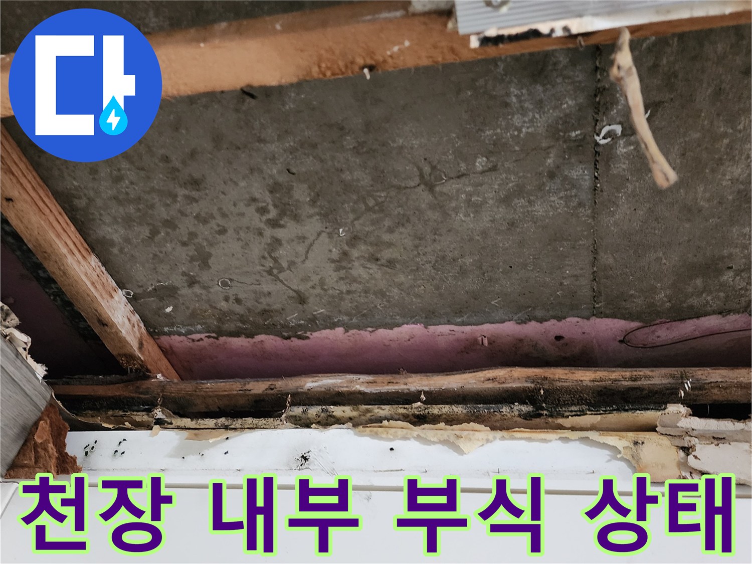 양주시 현장-천장 목재 부식 및 곰팡이 발생 모습