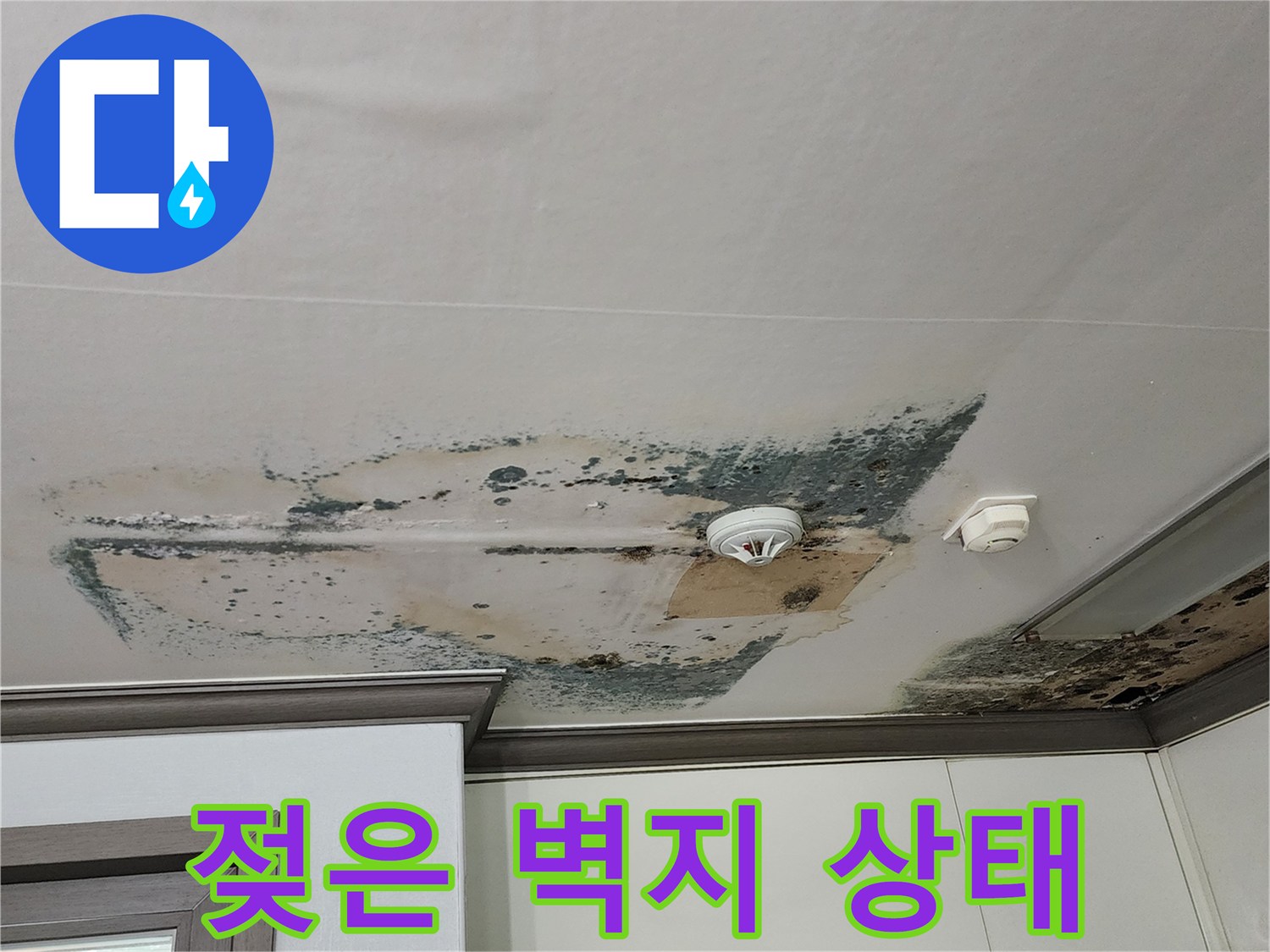 천장재 부식과 함께 나타난 젖은 벽지의 변색 부위