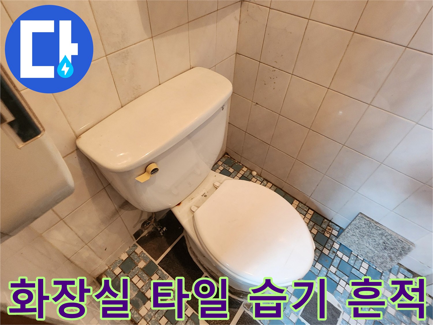 변기 주변 벽면 타일에 나타난 젖은 흔적과 곰팡이