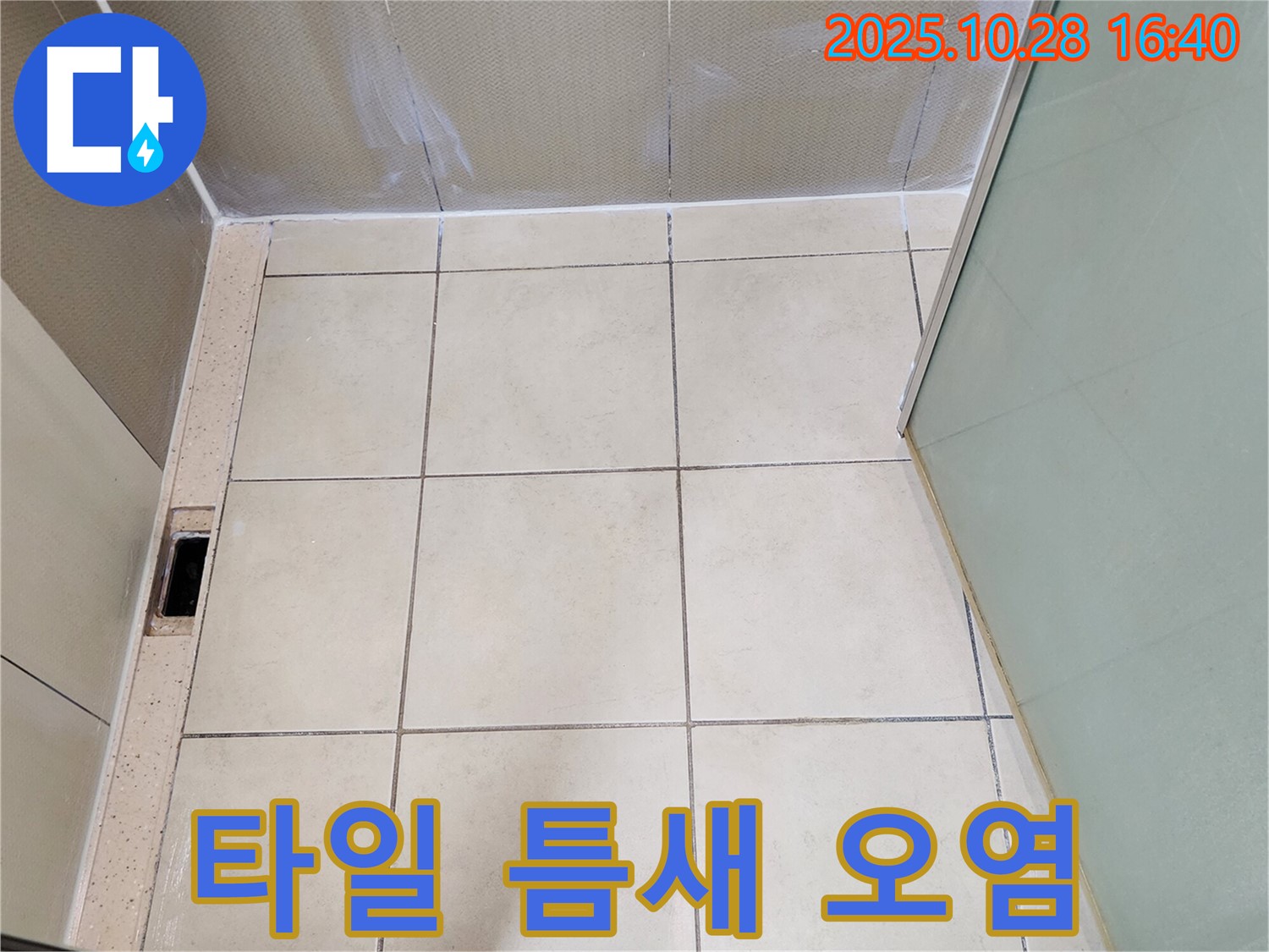 양주 샤워부스 누수 - 바닥 타일 틈새 백시멘트 오염으로 인한 누수 가능성 진단 및 청소