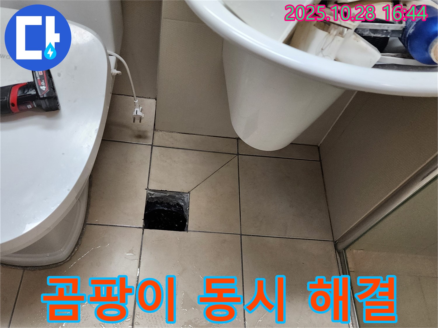 양주시 유양동 화장실 바닥 트랩 주변 곰팡이 발생 - 누수와 곰팡이 문제 동시 해결