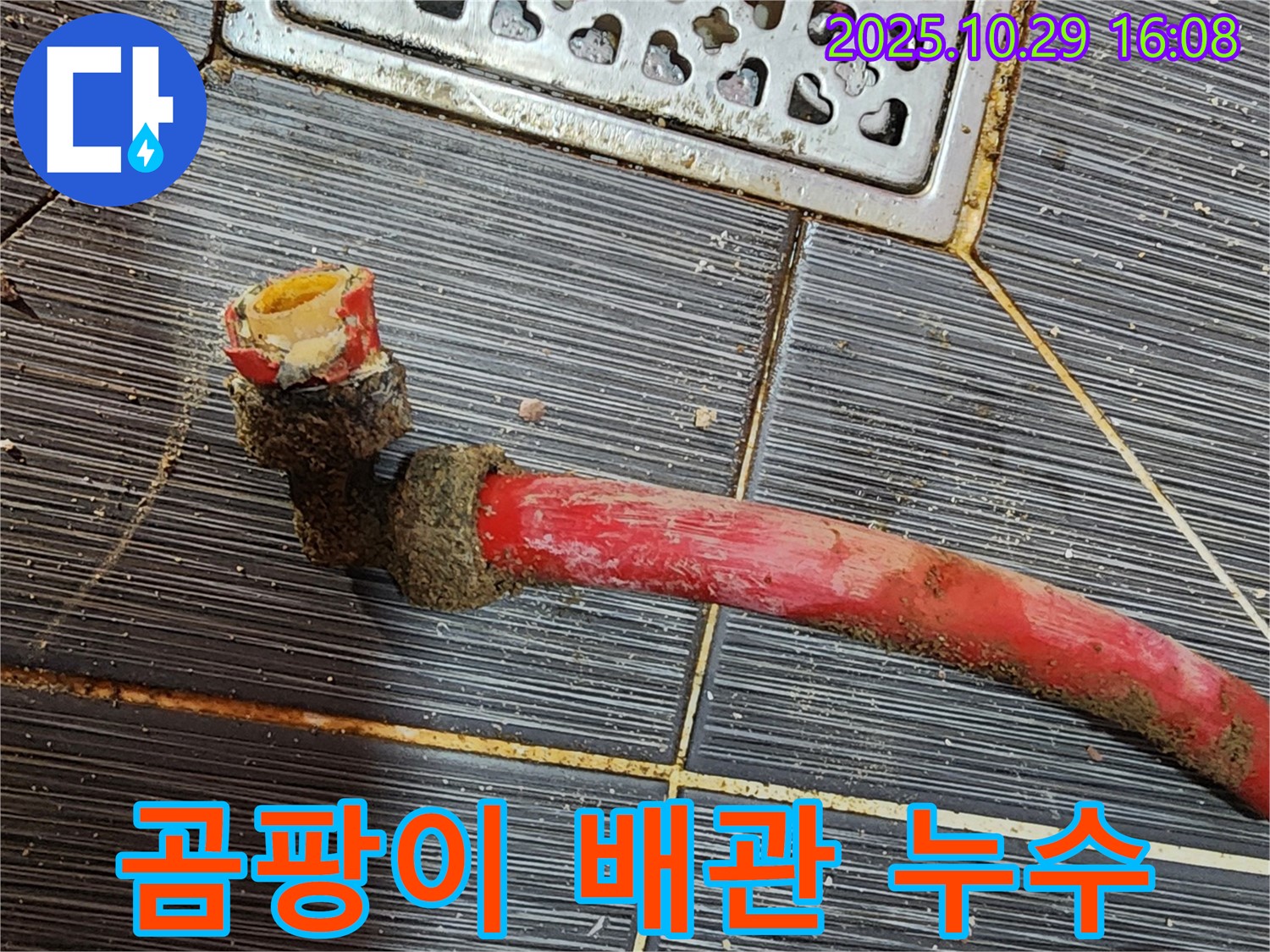 구로동 730번지 누수 - 낡은 배관 주변에 곰팡이가 발생한 모습 - 누수로 인해 곰팡이가 번식했습니다.