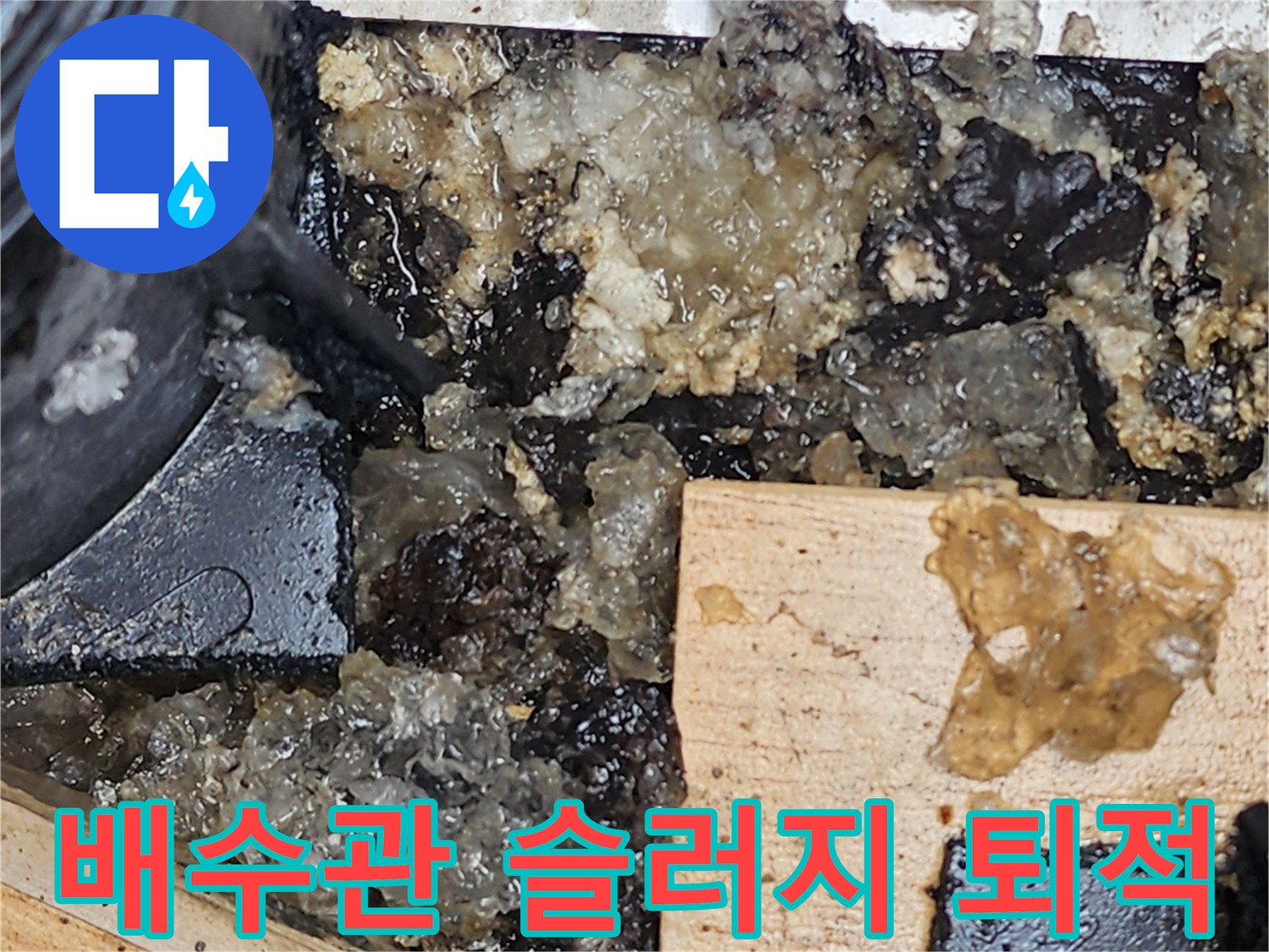 배수관 주변에 쌓인 오물과 물 고임 현상-진단 결과