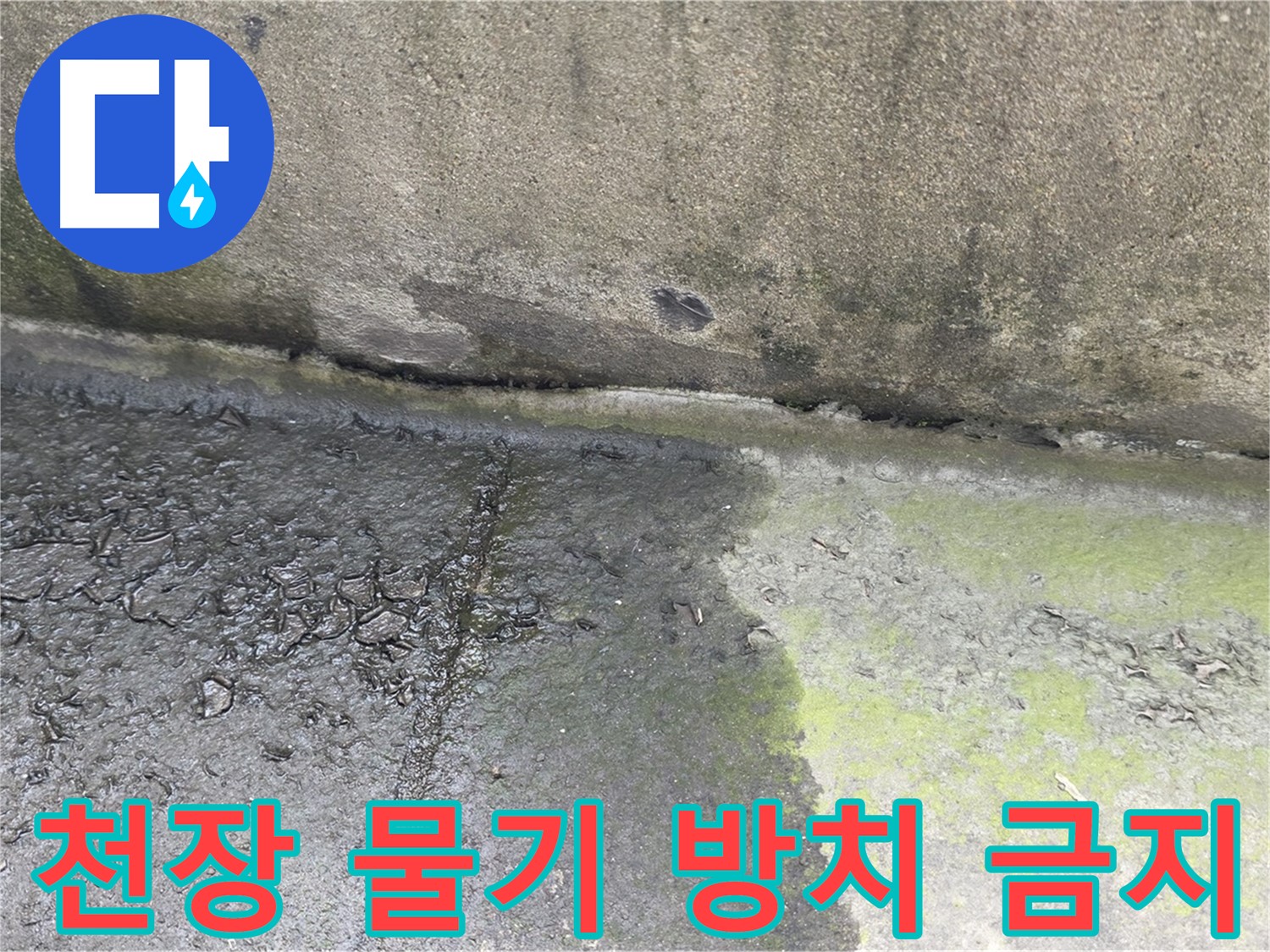 건물 천장 물기 누수 방치 시 위험 경고