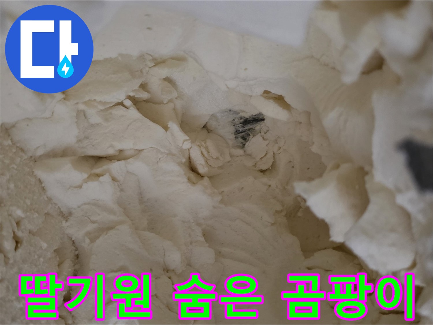 딸기원중문길 누수 - 꼼꼼한 점검으로 찾아낸 숨겨진 배관 검은 곰팡이