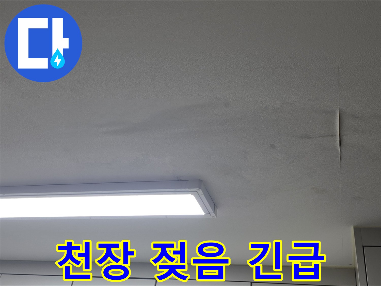 천장 젖음 - 누수 가능성 매우 높음 - 긴급 점검 필수