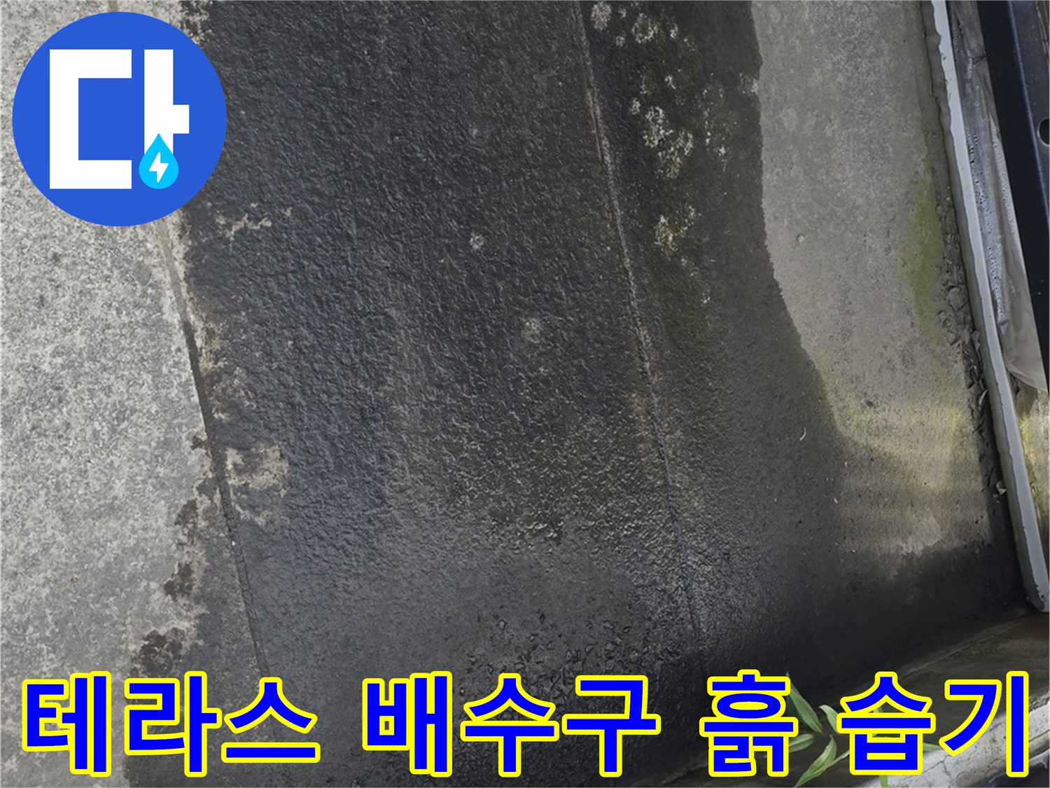 테라스 배수구 주변 흙과 습기 - 배수 불량, 누수 가능성