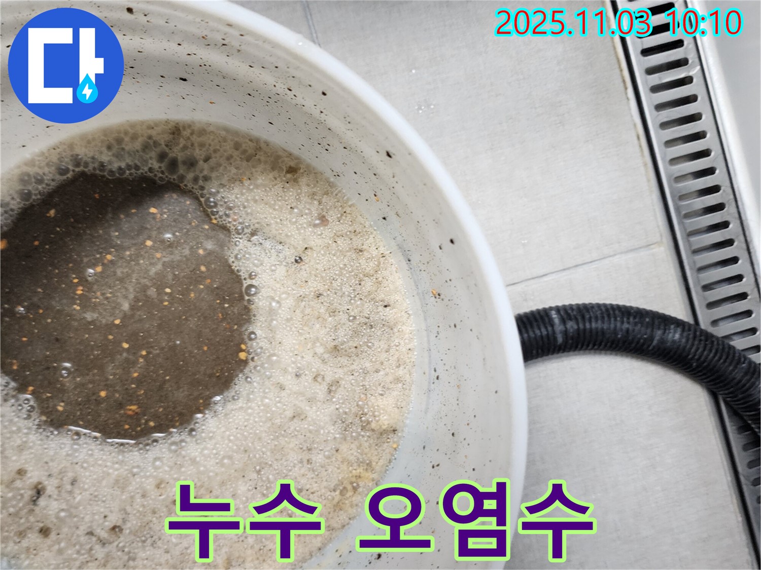 양동이에 담긴 끔찍한 오염수 - 누수 문제의 심각성을 여실히 보여주는 사진입니다.