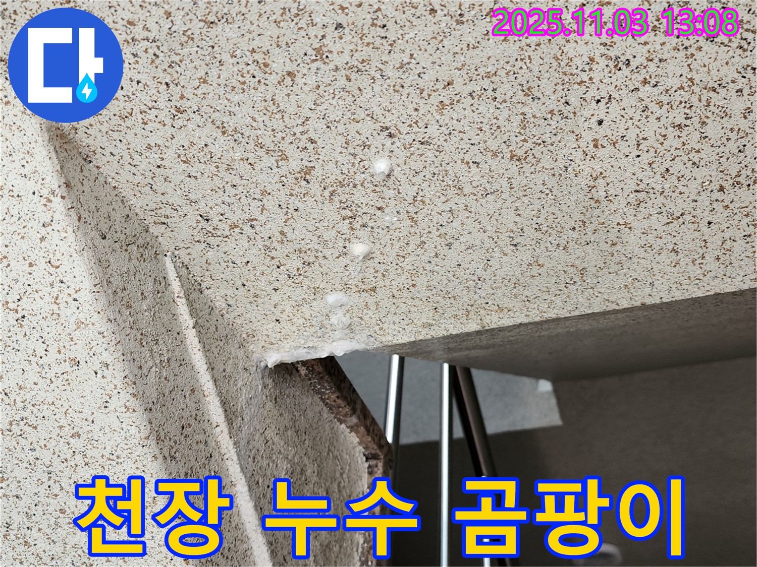 고읍동 아파트 천장 누수 - 곰팡이 냄새까지 싹! 해결하는 누수 전문 업체