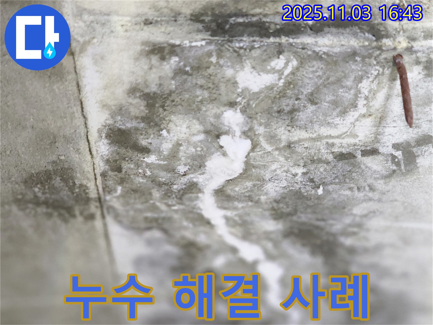 누수 해결 후 만족스러운 결과 - 콘크리트 틈새 누수 문제 해결 후 깨끗해진 콘크리트 바닥 이미지입니다.