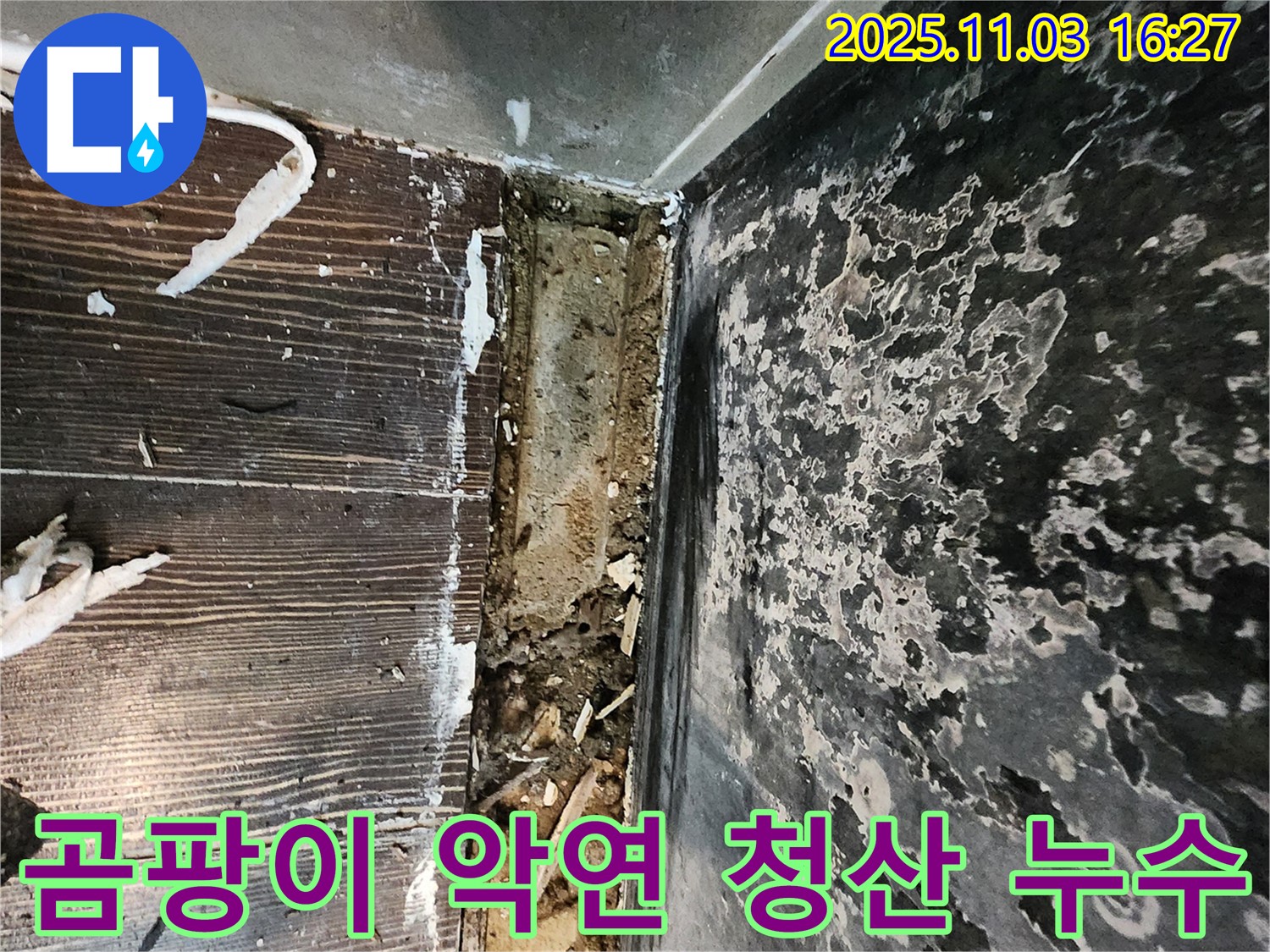 양주시 백석읍 누수 - 곰팡이와의 질긴 악연을 끊고, 누수와의 깔끔한 청산을 시작하세요!