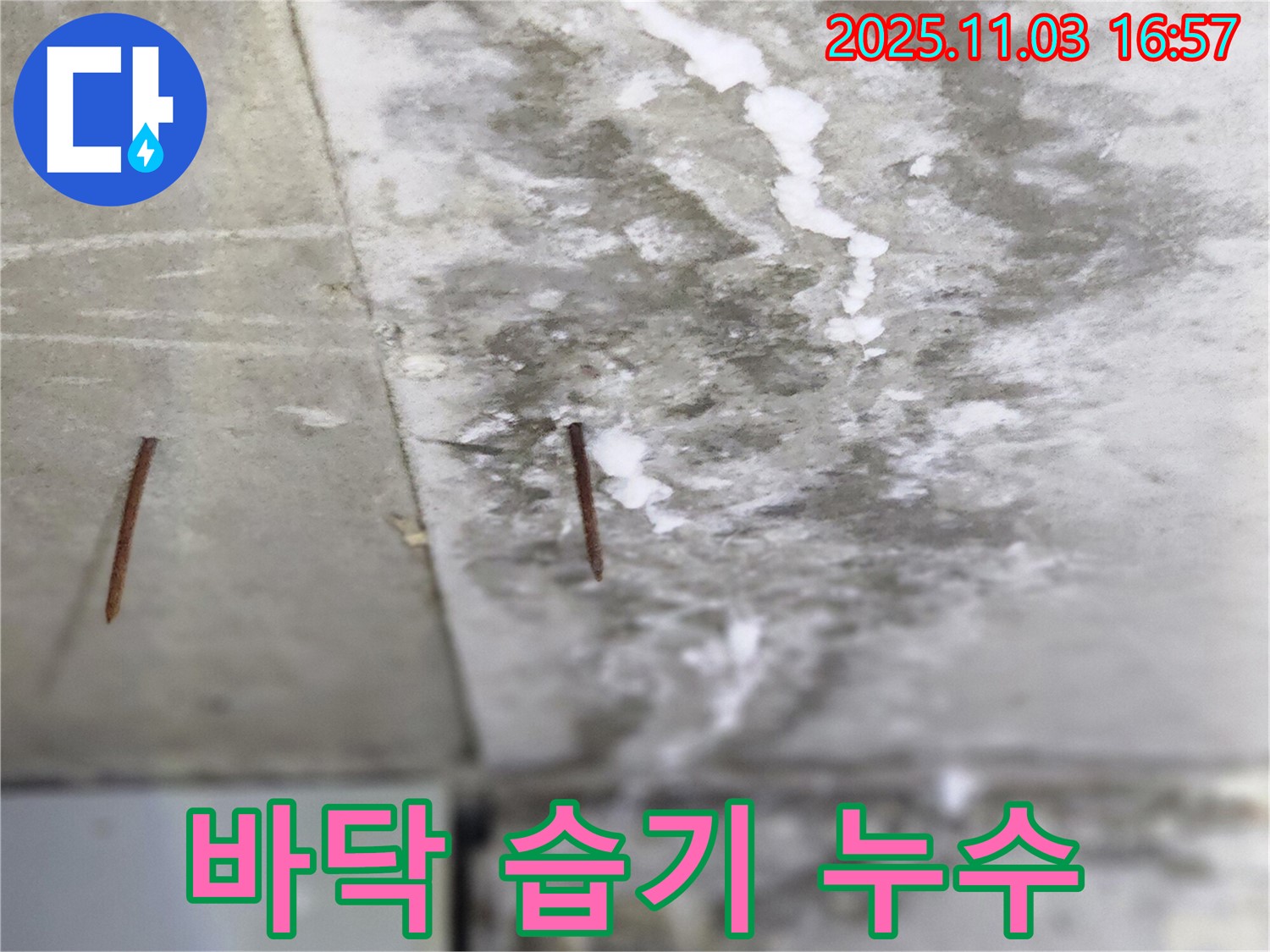 양주시 삼숭동 누수 현장 - 바닥에 습기가 차 있는 모습은 누수가 진행 중임을 알려줍니다 - 빠른 조치가 필요합니다.