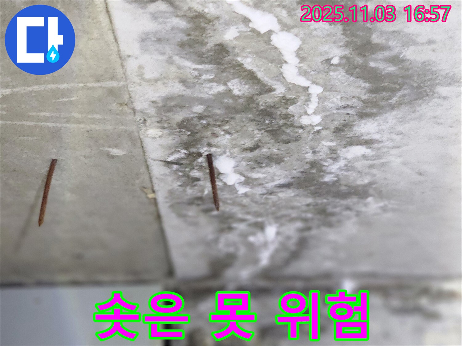 양주시 삼숭동 누수 현장 - 바닥에서 솟아오른 못은 안전사고의 위험이 있습니다 - 즉시 점검이 필요합니다.
