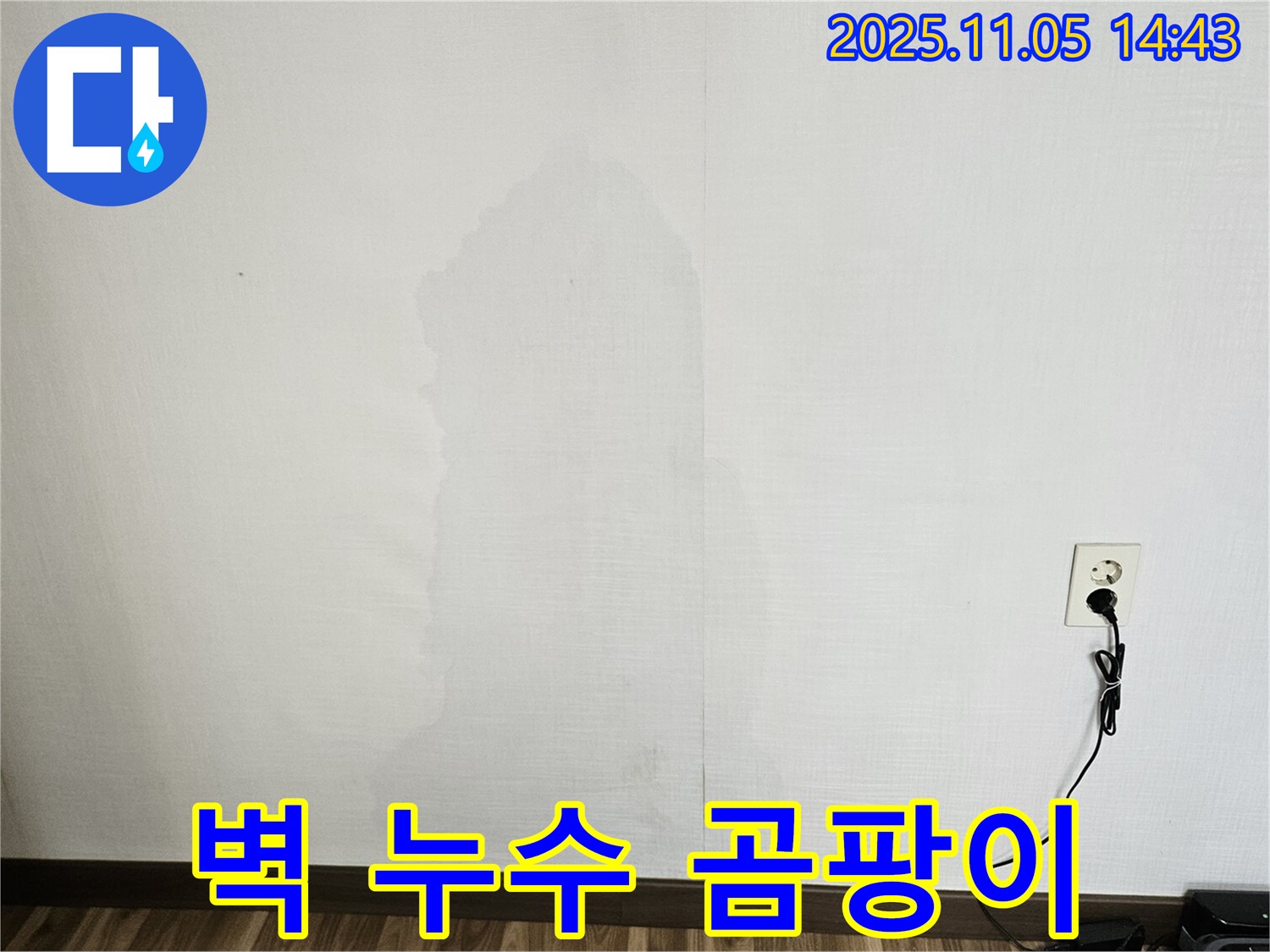 벽 누수 곰팡이 - 젖은 벽지에 곰팡이가 심하게 핀 모습입니다.