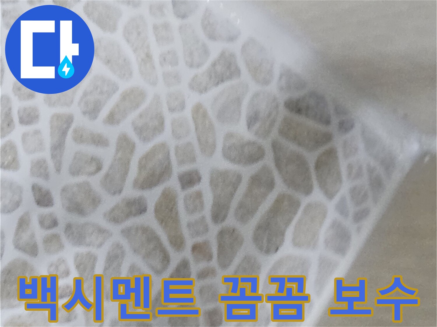 화장실 타일 틈새 누수 - 꼼꼼한 백시멘트 보수 작업 사진