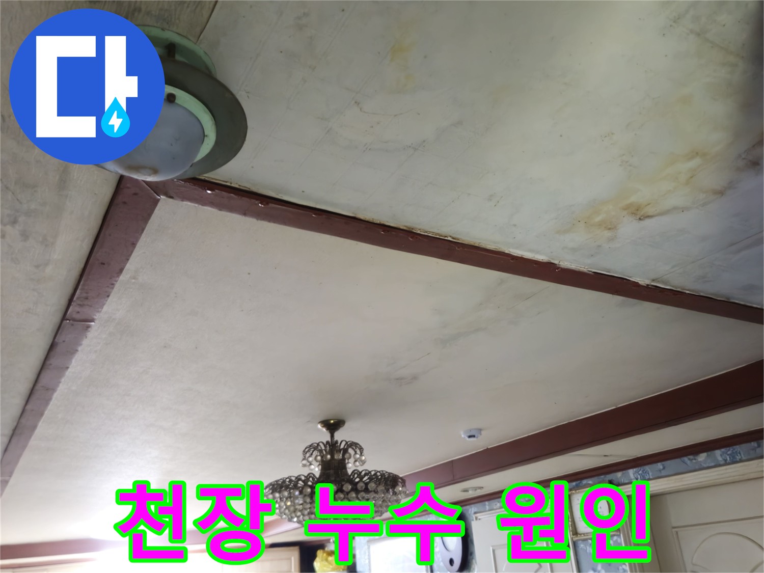 누수 고민 해결 - 친절한 상담과 최적의 해결 방안 제시