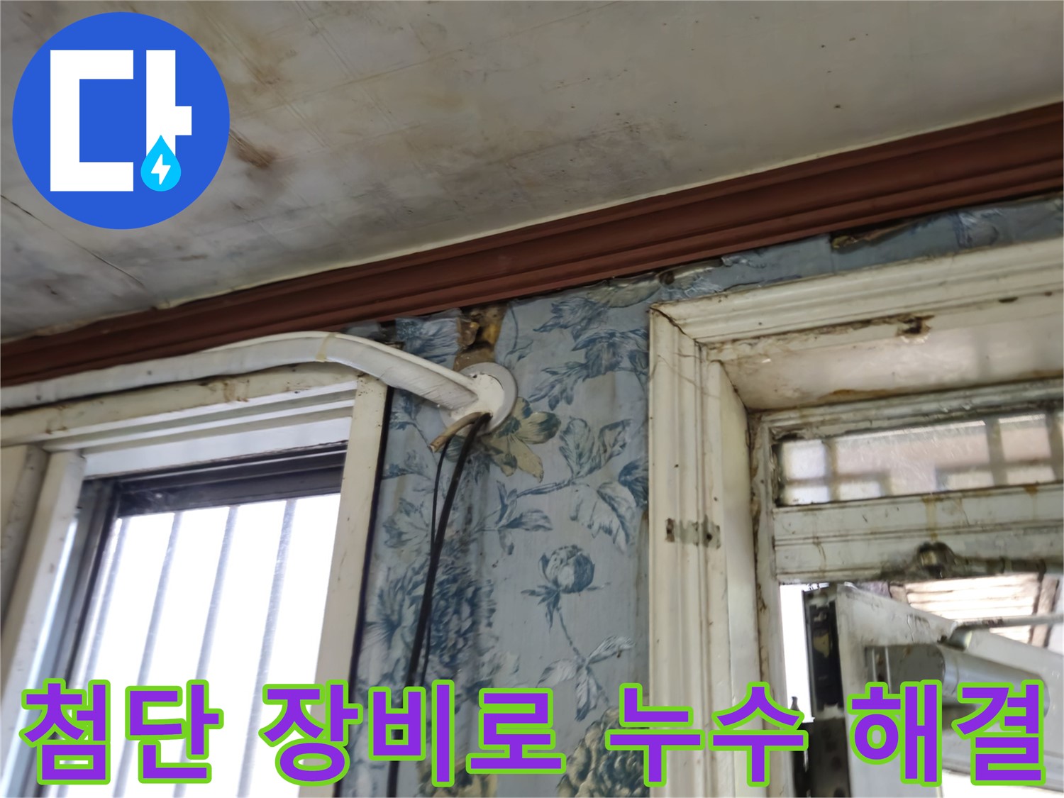 첨단 장비 이용 숨은 배관 누수 탐지 - 용산구 청파동 누수 해결