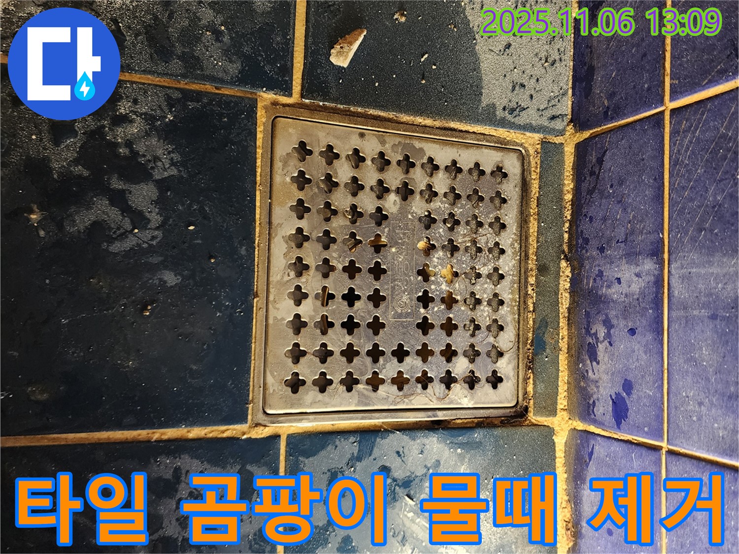 고모리 누수 - 욕실 배수구 주변 타일 틈새 곰팡이 및 물때 완벽 제거