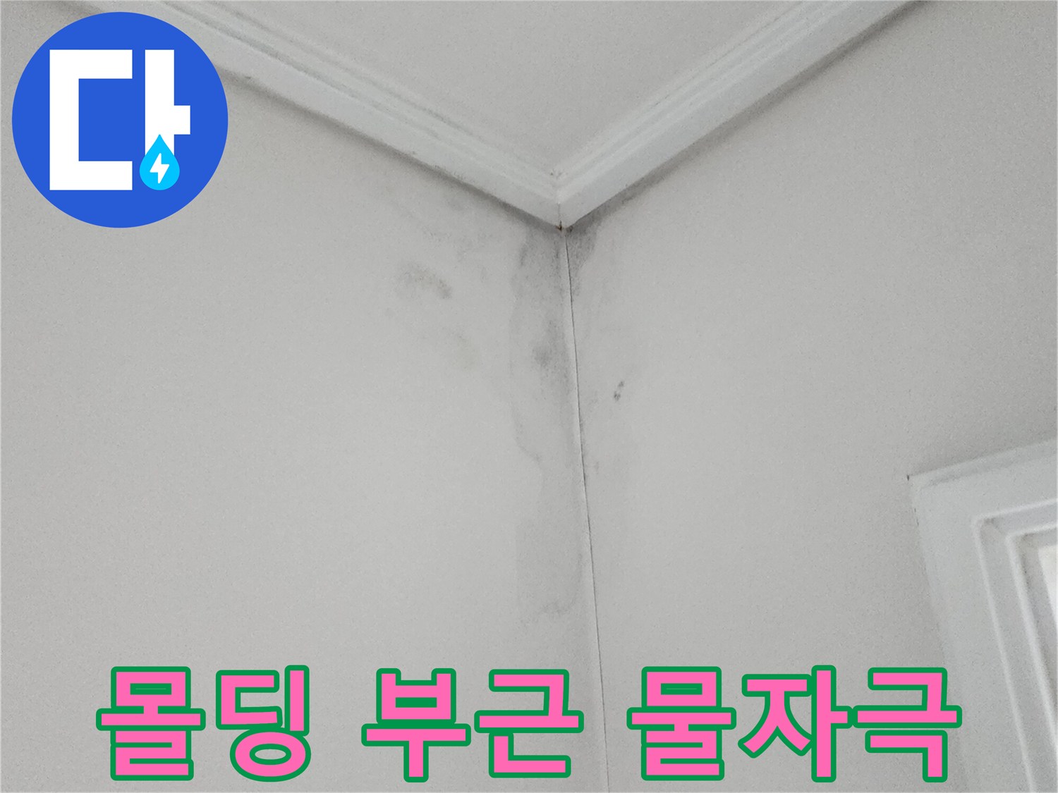 천장 몰딩과 벽면 경계의 곰팡이 오염 상태