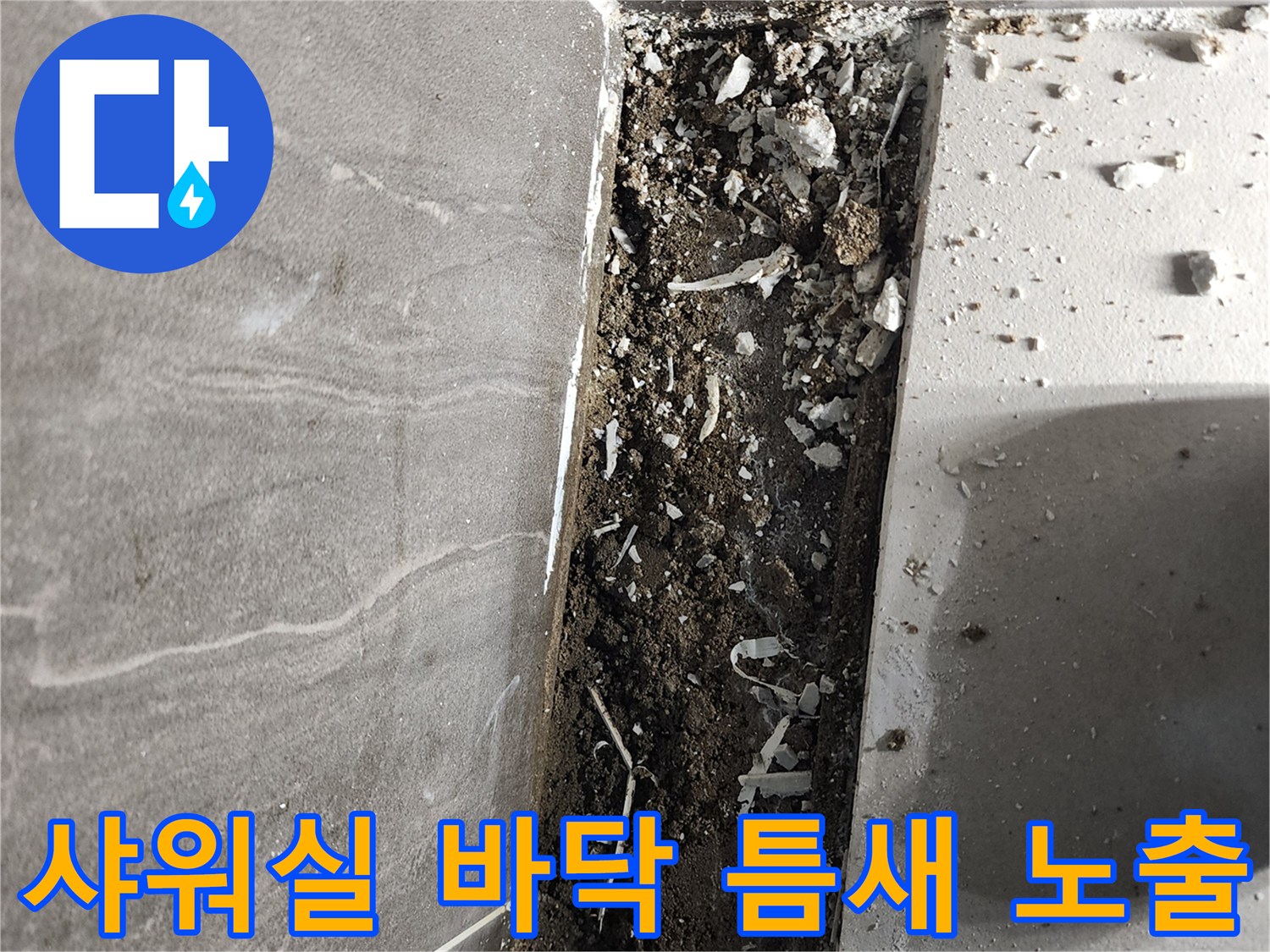 의정부 신곡동 샤워실 배수구 주변의 벌어진 타일 틈과 내부 상태를 보여줍니다.