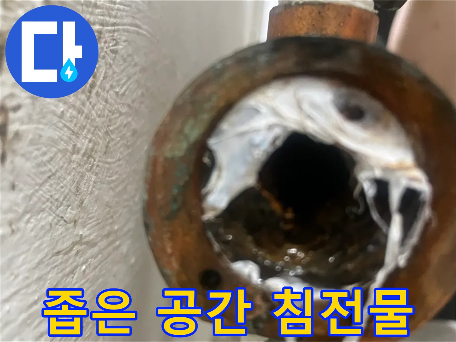 양천구 누수 - 좁은 공간 노후 배관 속 침전물 제거