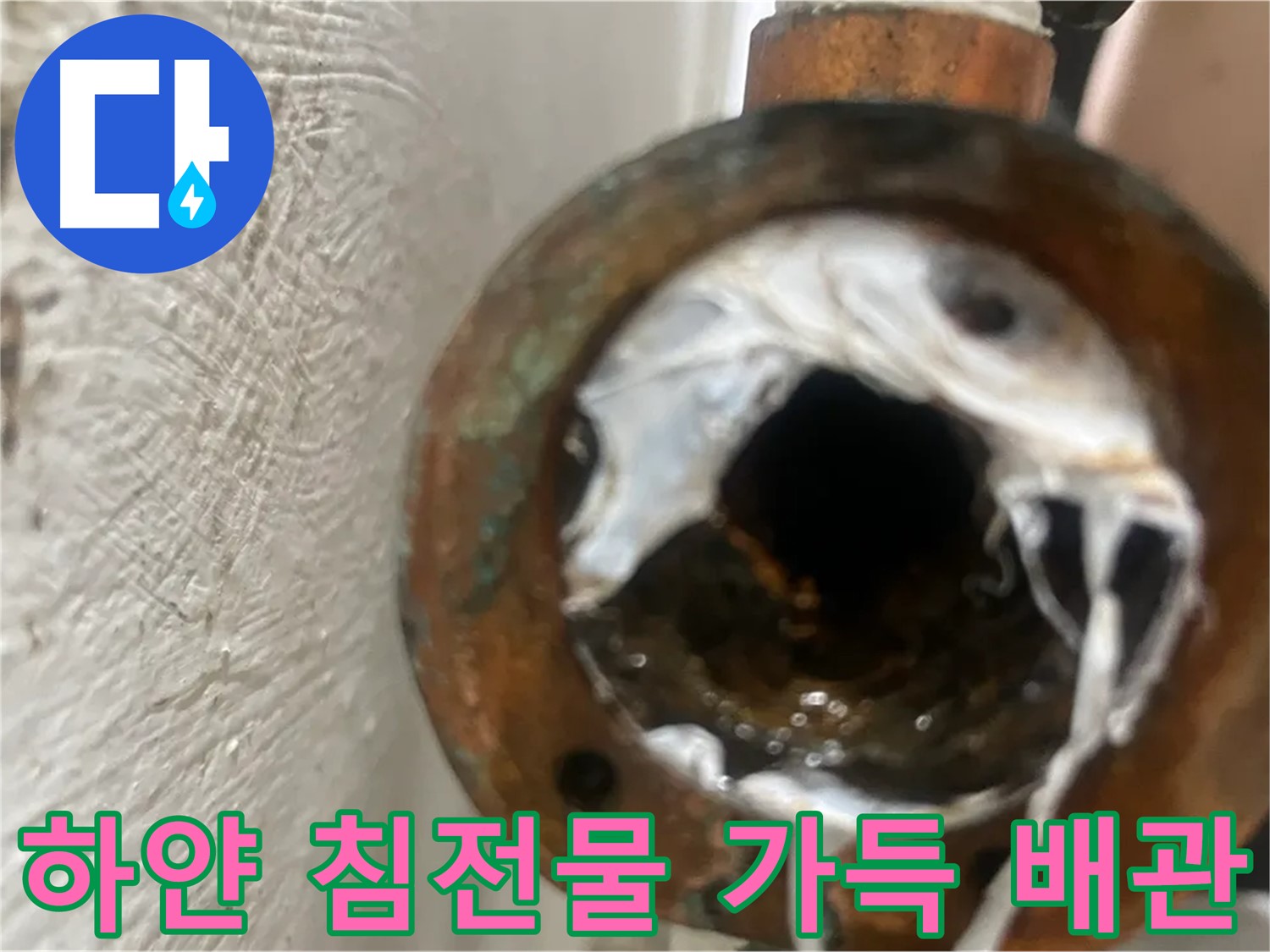 양천구 누수 해결 - 하얀 침전물 가득한 배관 교체