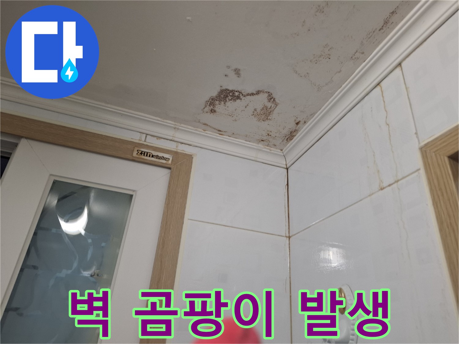욕실 벽 곰팡이 발생 - 누수 초기 증상 - 꼼꼼 점검