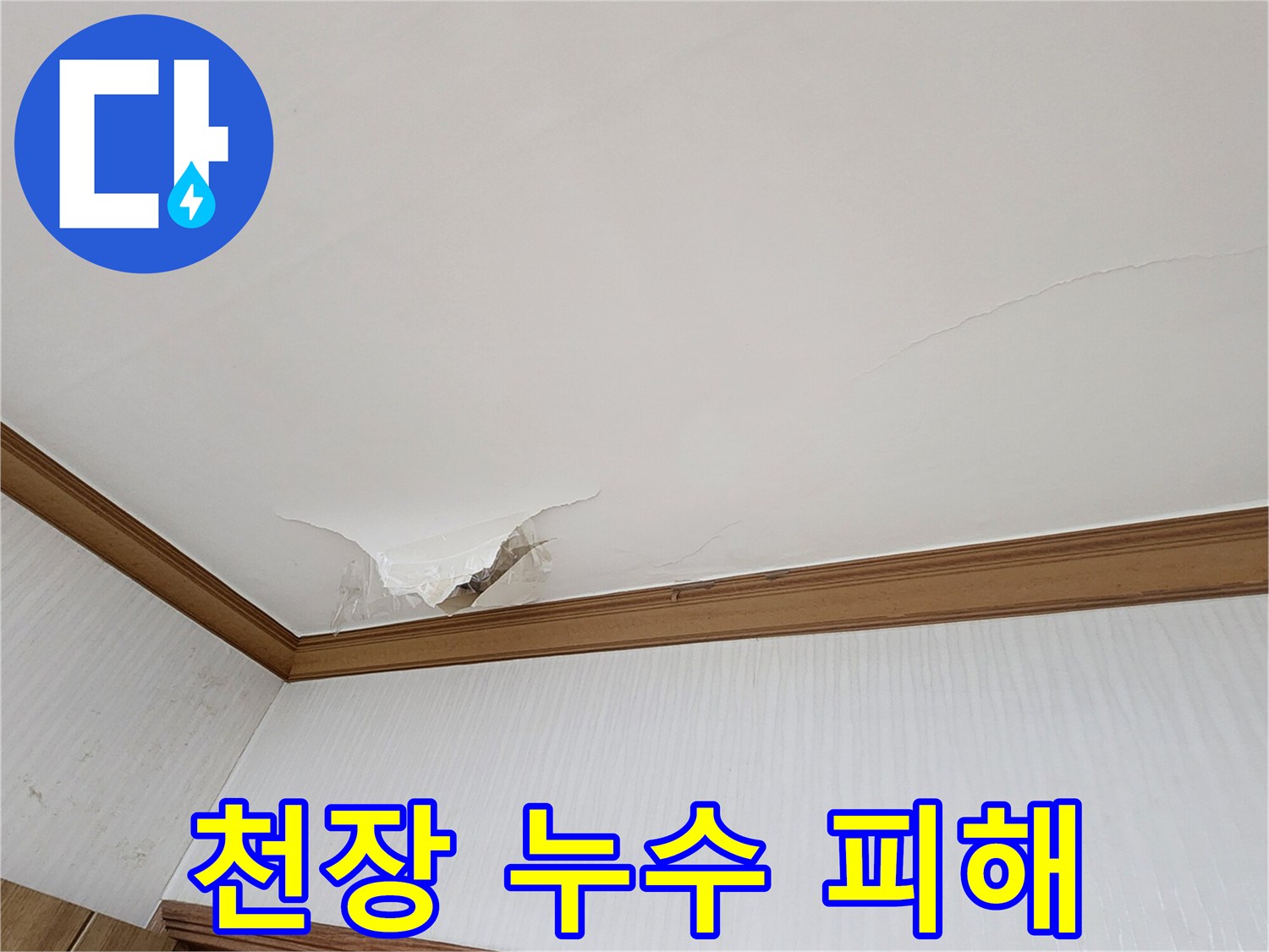 물샘으로 인해 - 찢어지고 변색된 천장 마감 부위