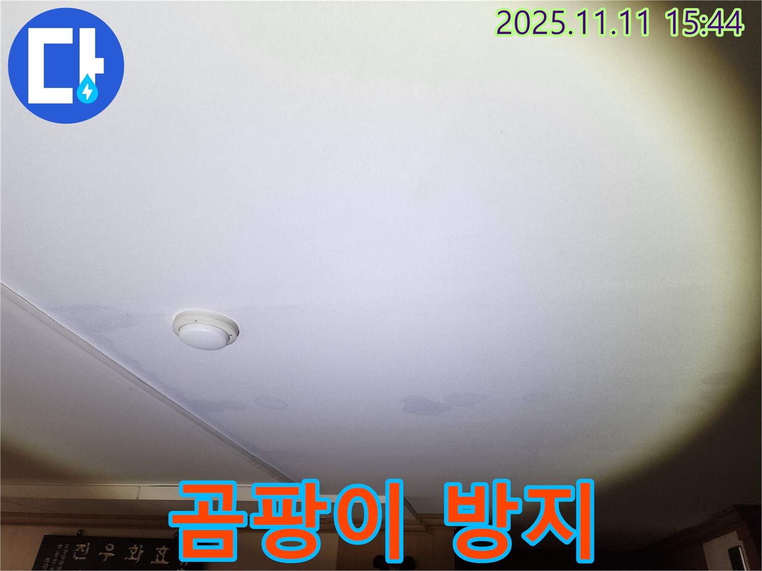 안산 원곡동 8차 푸르지오 아파트 천장 누수 - 곰팡이 방지 시공