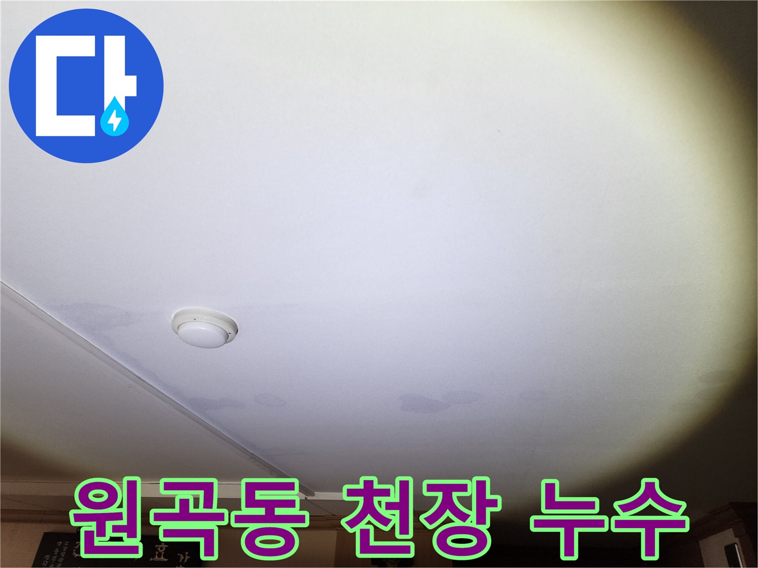 젖은 천장 벽지와 들뜬 벽지로 인한 안산 원곡동 주택 누수 현장 - 빠른 누수 원인 파악 및 공사 필요