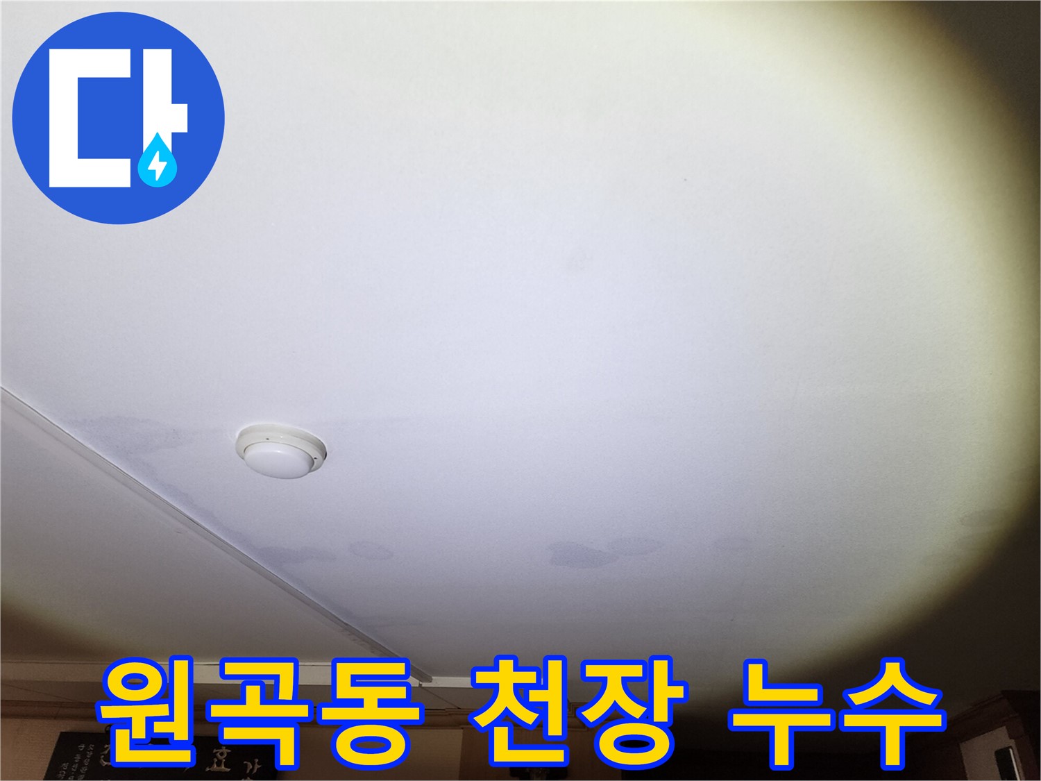 젖은 천장 벽지와 들뜬 벽지로 인한 안산 원곡동 주택 누수 현장 - 빠른 누수 원인 파악 및 공사 필요
