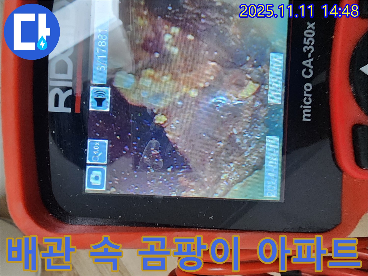 배관 속 곰팡이 아파트 - 철거 작전!