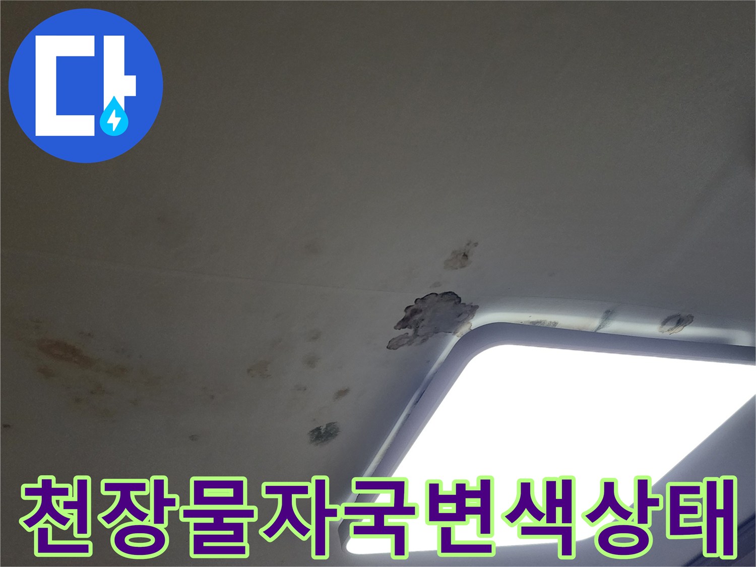 누수로 변색된 천장 마감재 - 조명 주변의 수분 침투 흔적