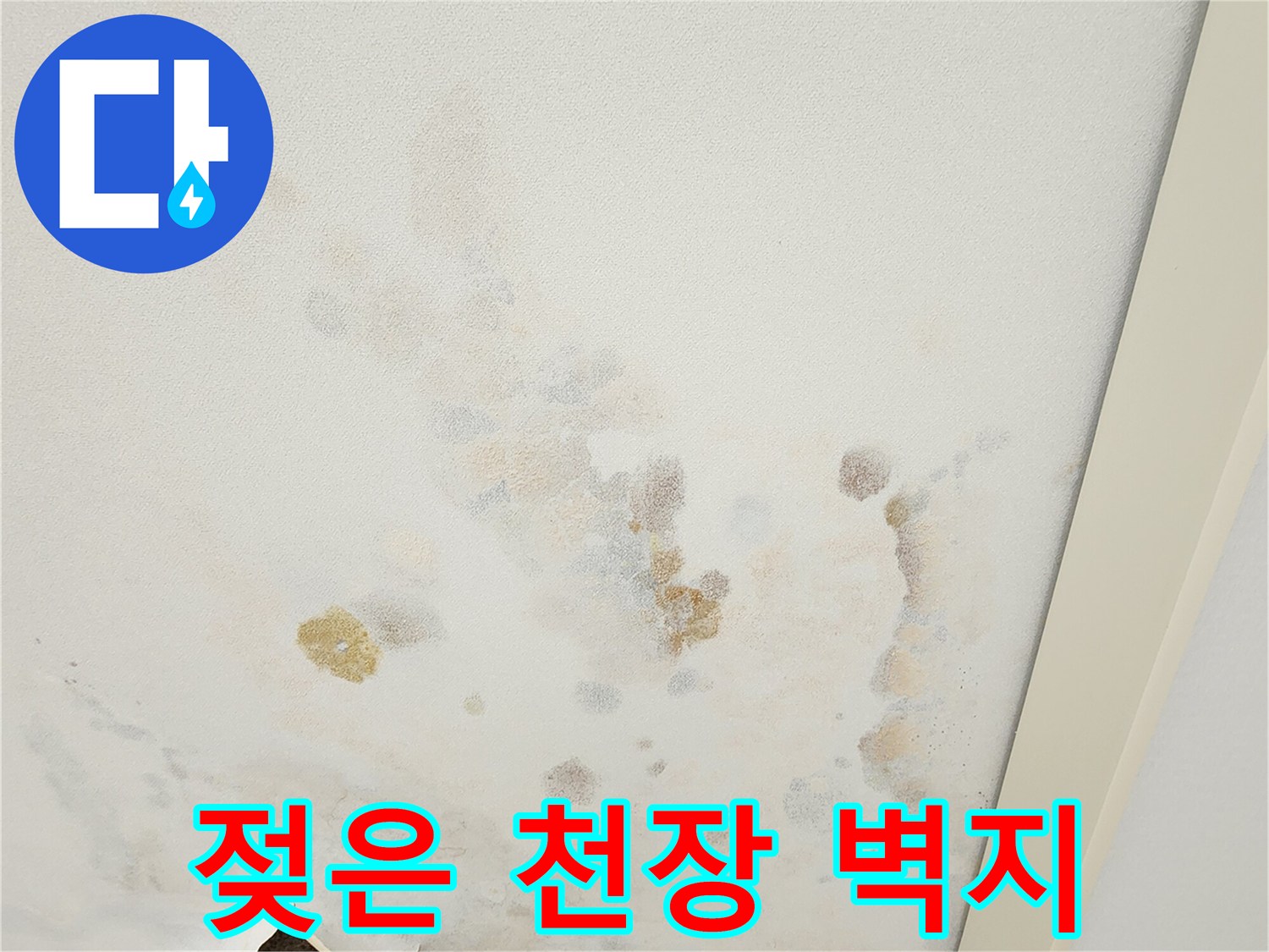 누수로 인해 젖고 변색된 천장 벽지와 파손된 마감재