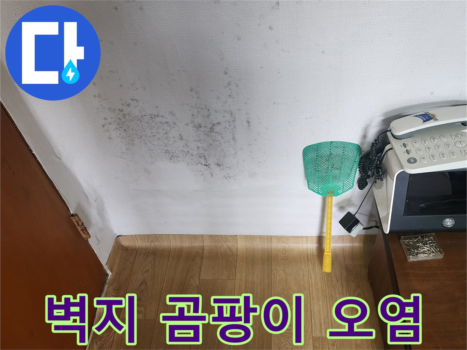 물샘 현상으로 인해 변색되고 곰팡이가 피어오른 벽면