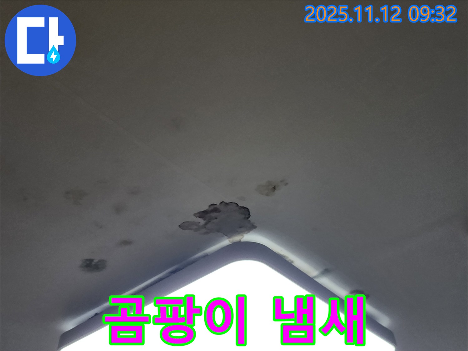 소흘읍 무봉리 천장 누수 - 곰팡이 냄새, 건강 적신호 긴급 해결