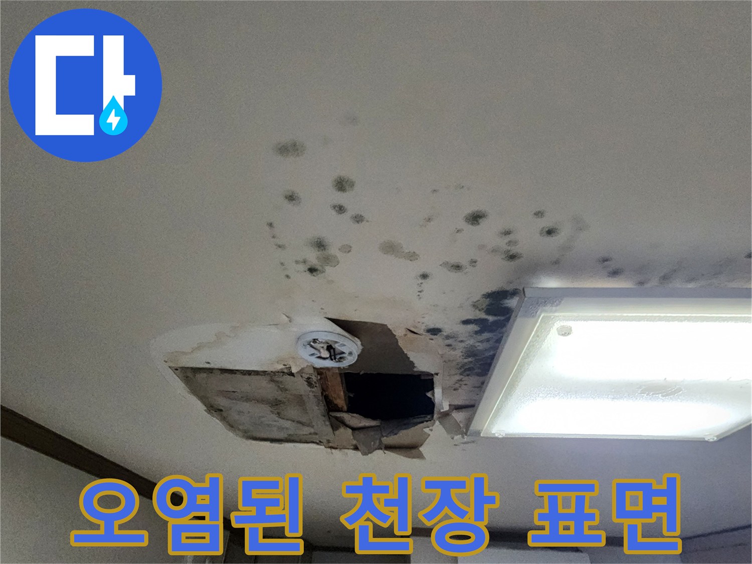 습기로 인해 검게 변한 천장 마감재의 오염 상태