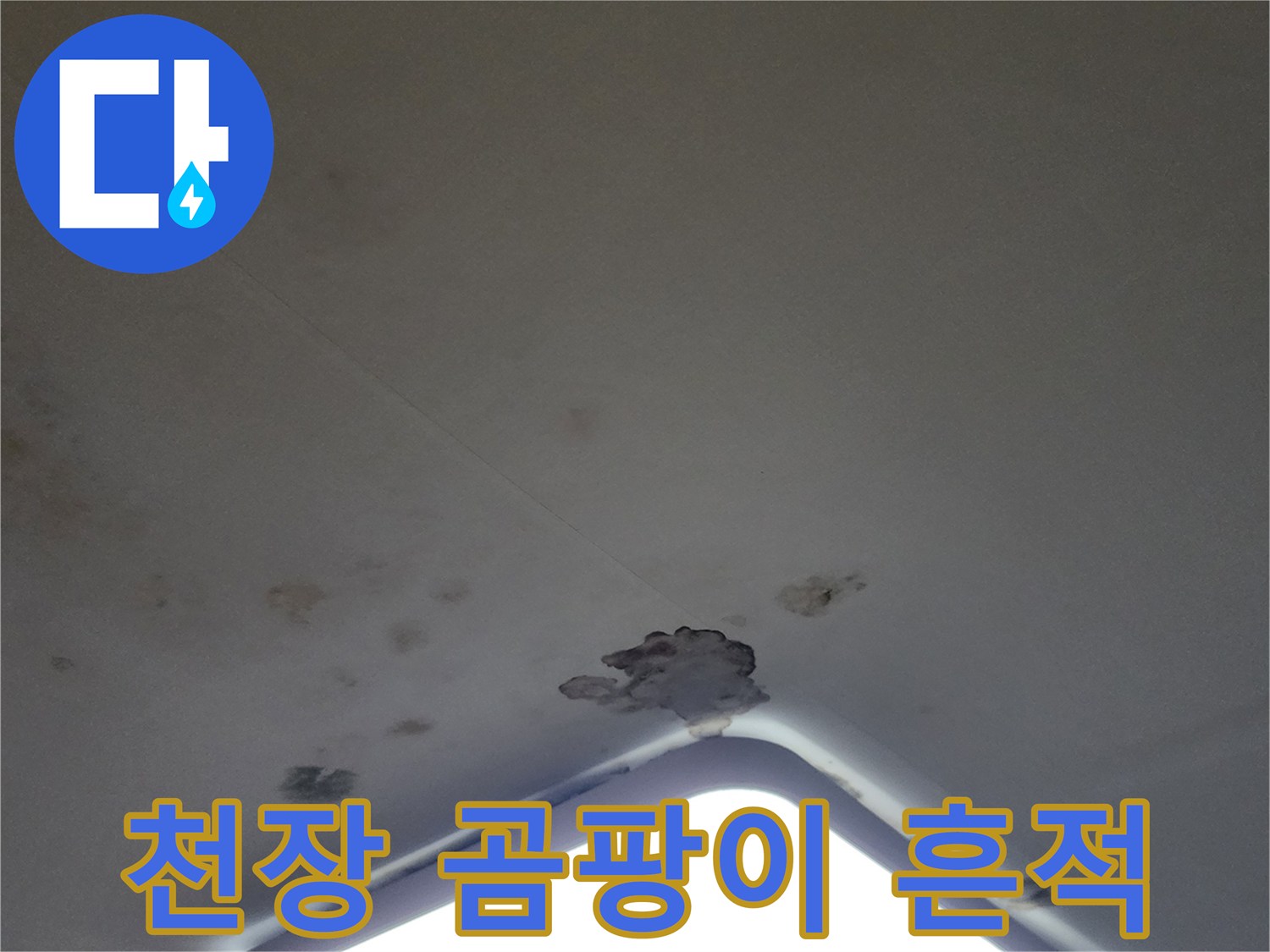 조명 주변 천장 마감재의 물자국 및 곰팡이 현황