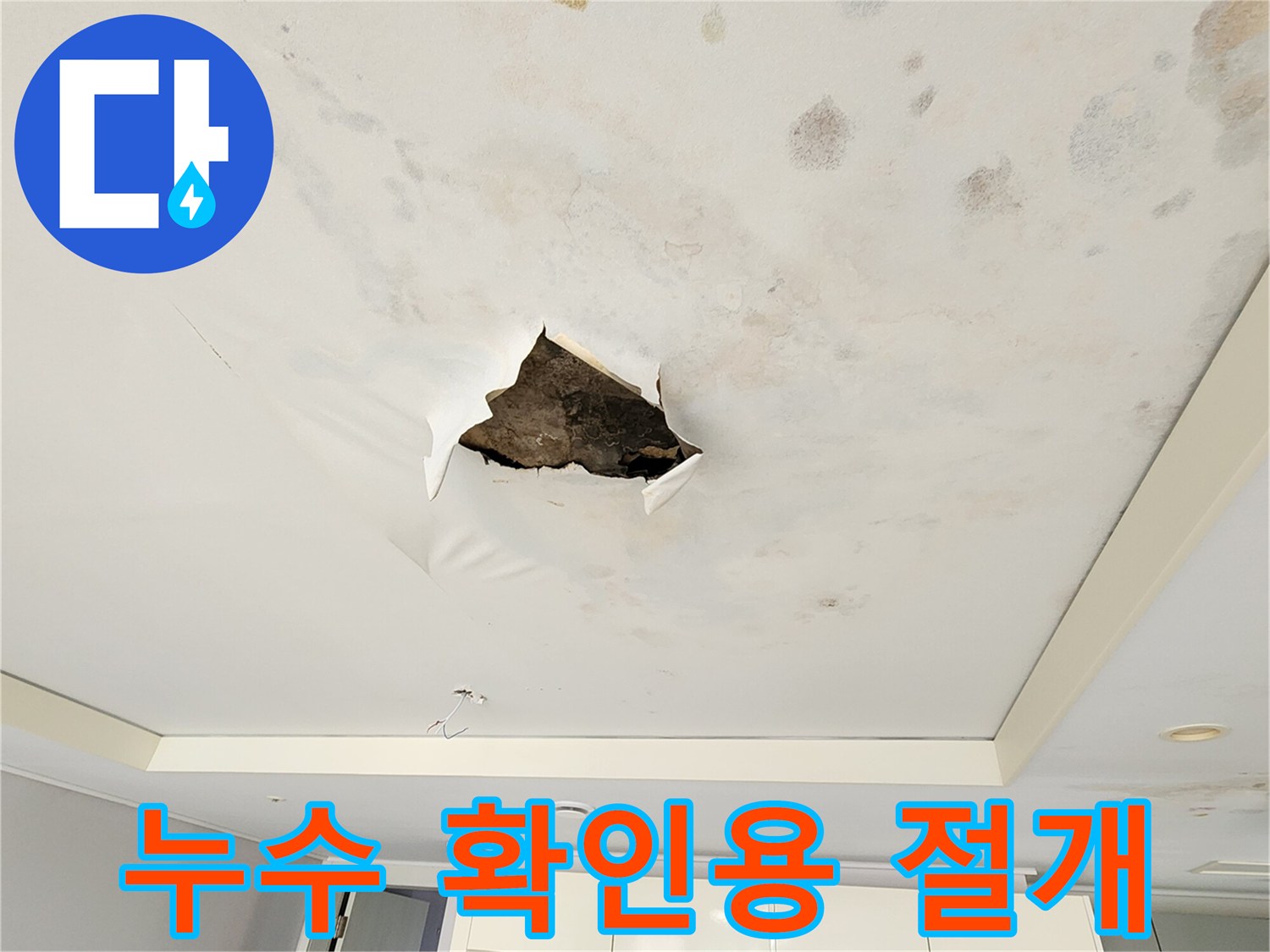 천장 내부 노출-누수 지점 및 습기 상태 점검
