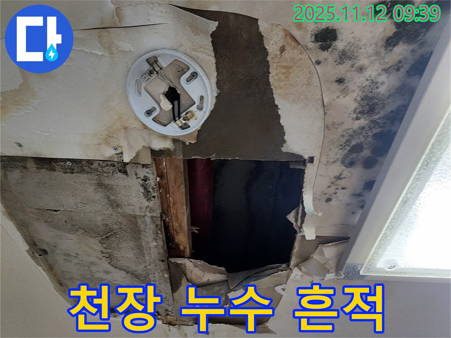 천장 누수 흔적 - 젖은 석고보드와 곰팡이로 인한 건물 내부 손상 및 건강 문제 발생 가능성