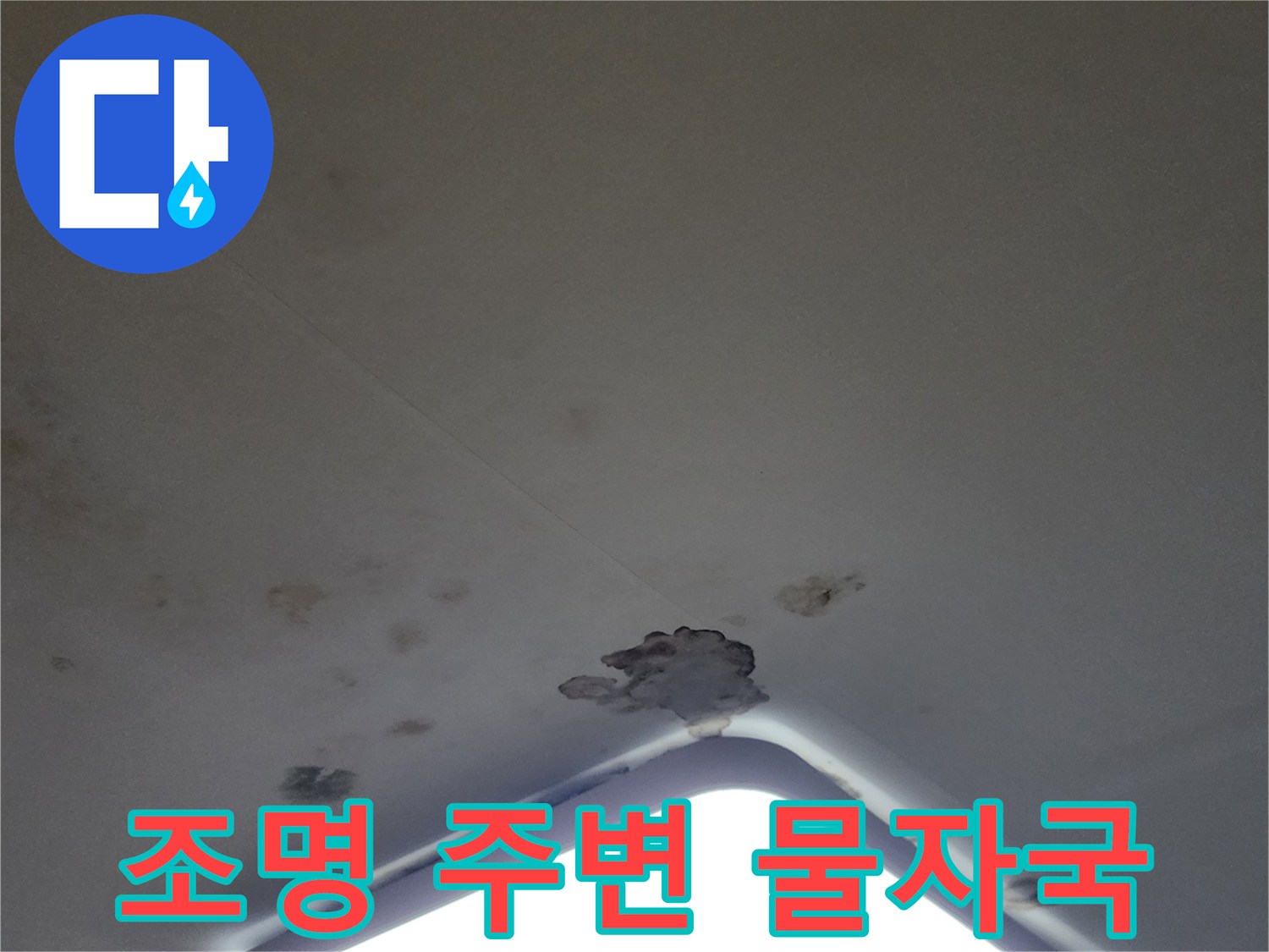 천장 조명 근처에 나타난 곰팡이와 습기 얼룩