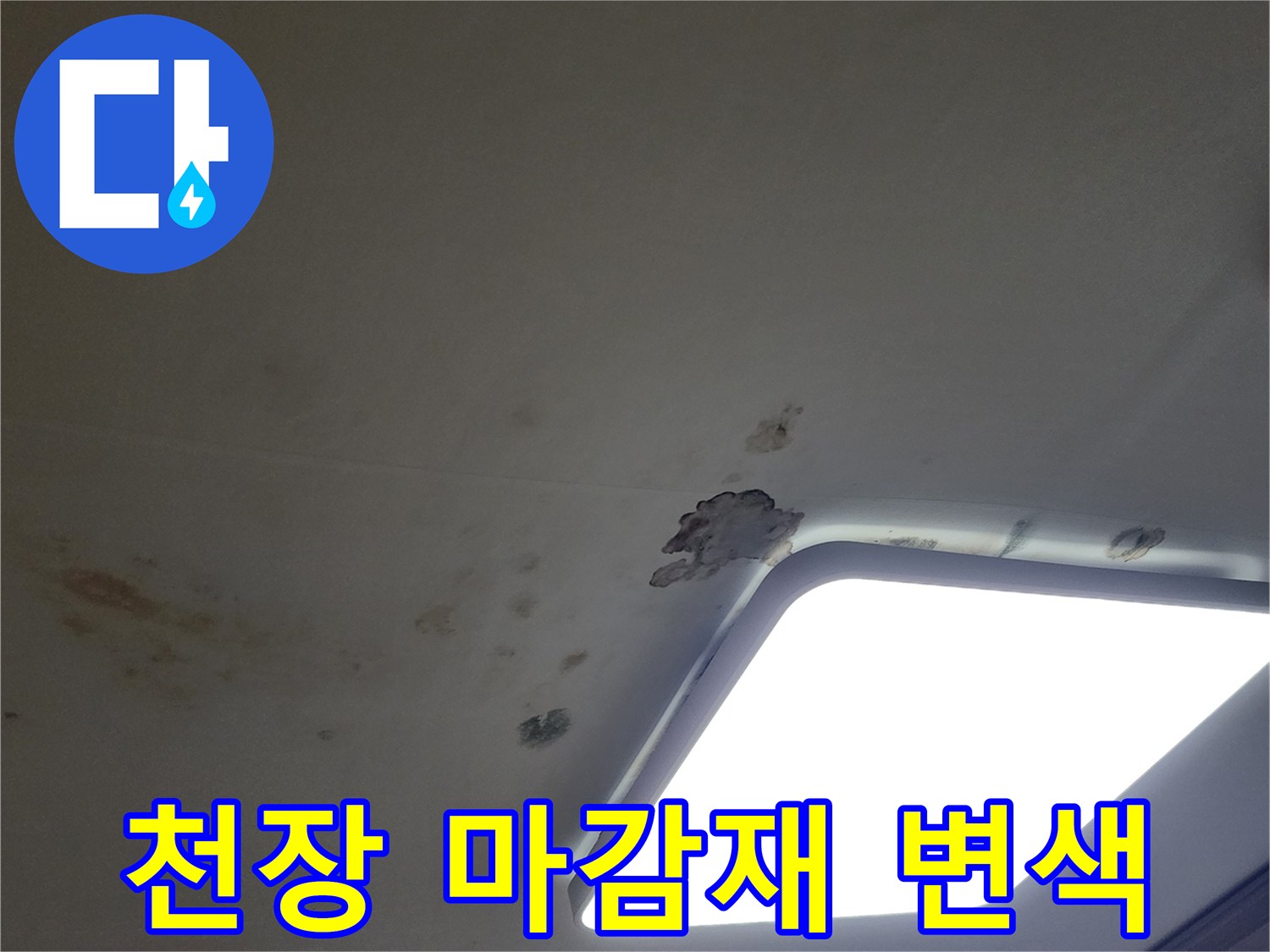천장 조명 근처의 배관 누수 의심 부위와 변색된 벽면