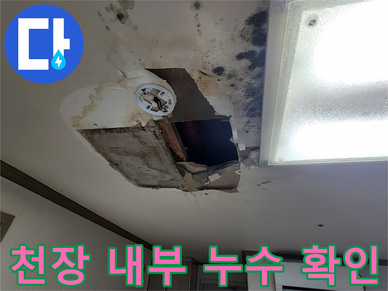 천장을 절개하여 드러난 내부 구조와 주변의 곰팡이 흔적