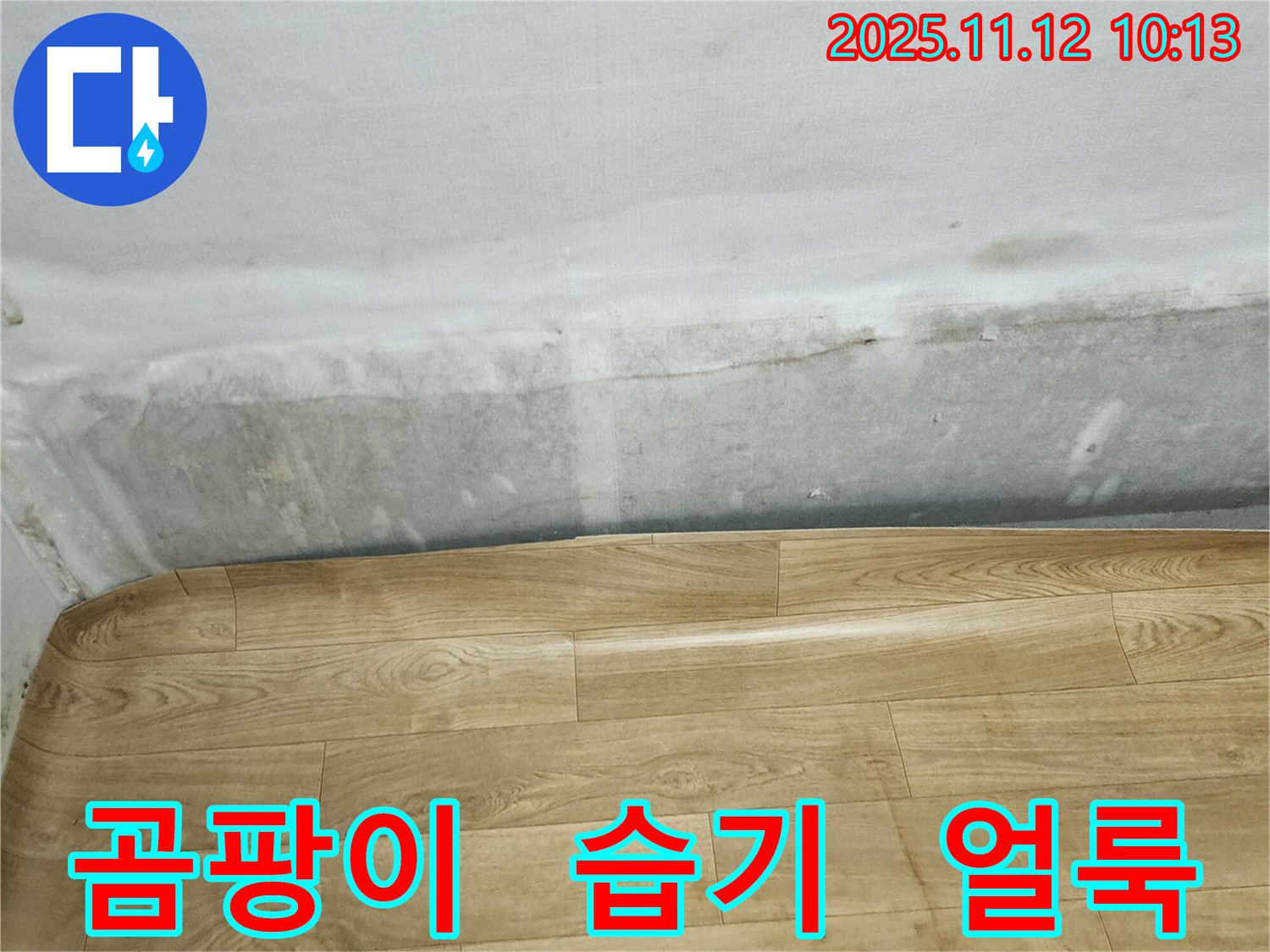 포천 무봉리 누수 현장 - 곰팡이와 습기로 얼룩진 벽과 들뜬 장판, 누수 해결이 시급함을 알립니다 - 빠른 조치가 필요합니다.