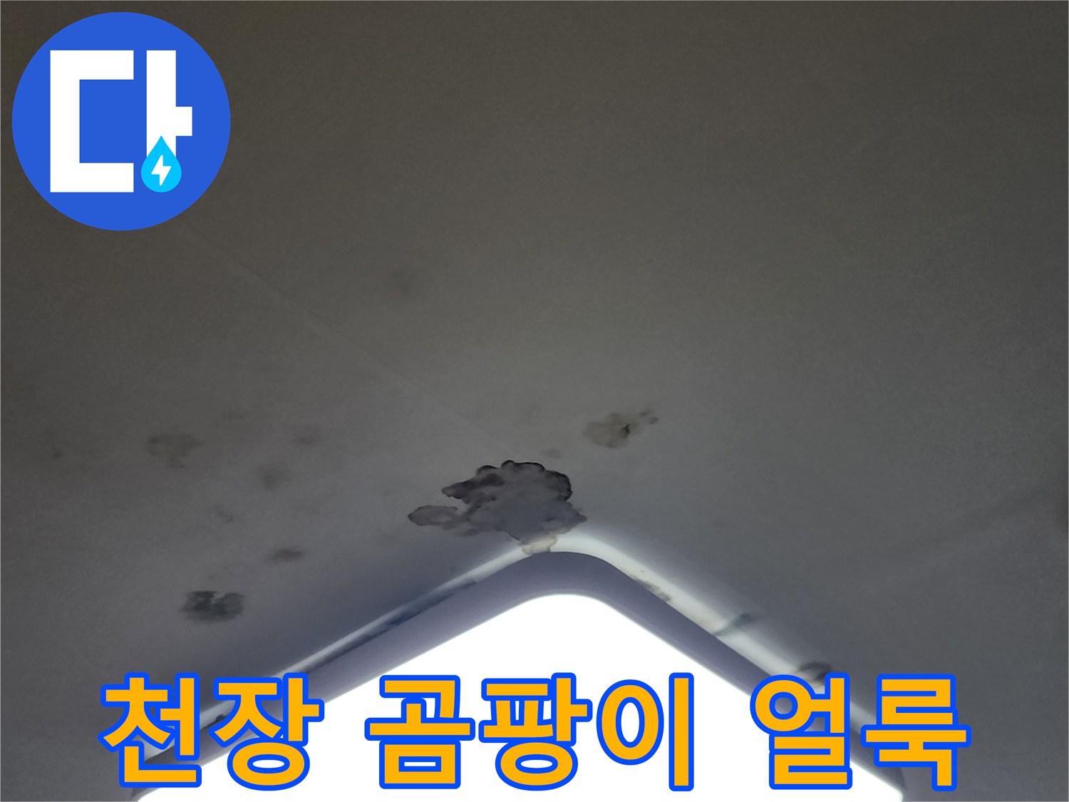 포천 무봉리 아파트 천장 조명 주변의 곰팡이와 물자국