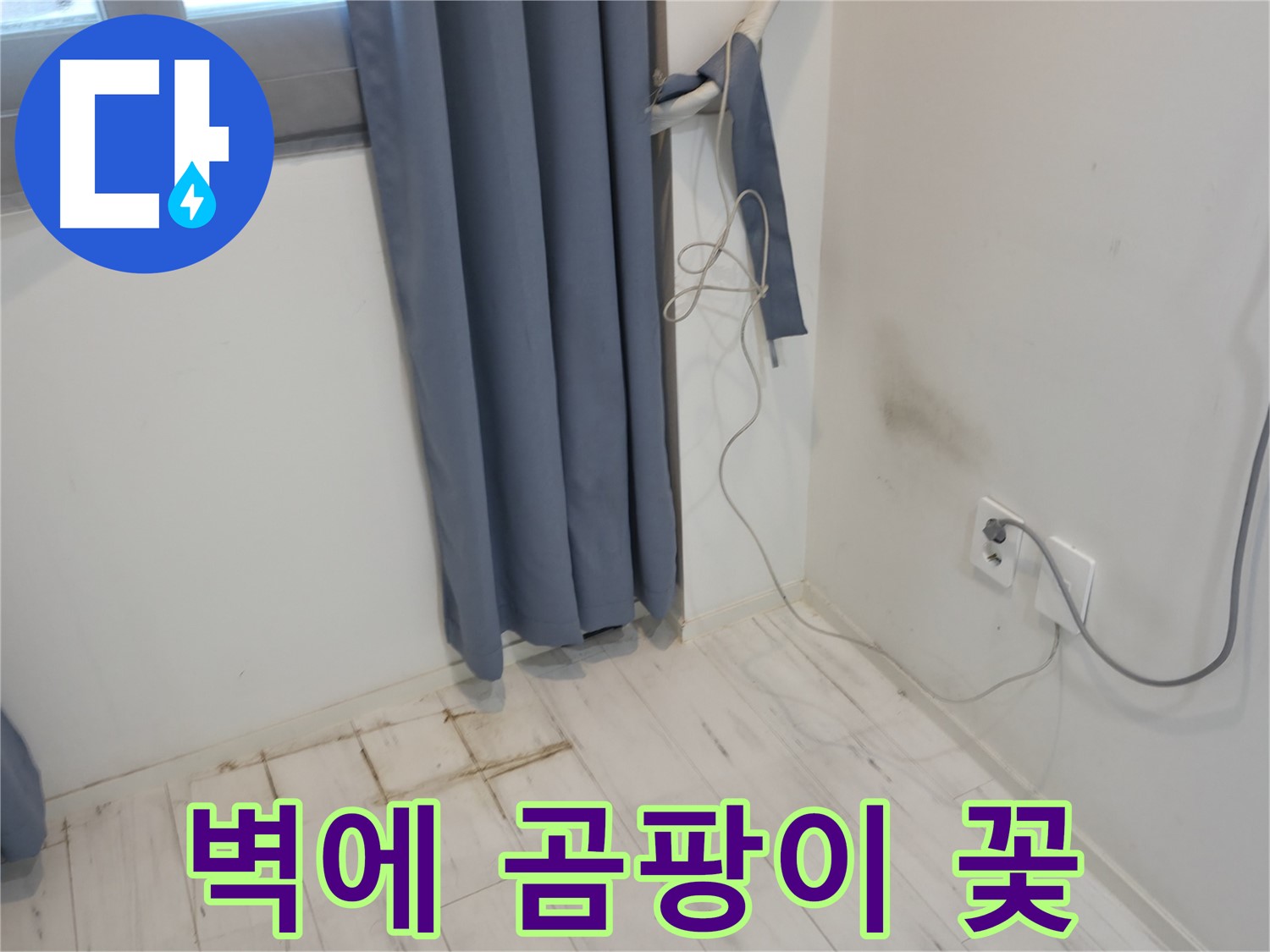 관악구 누수 - 벽에 곰팡이 꽃 문제 - 누수 해결 위한 전문 기술