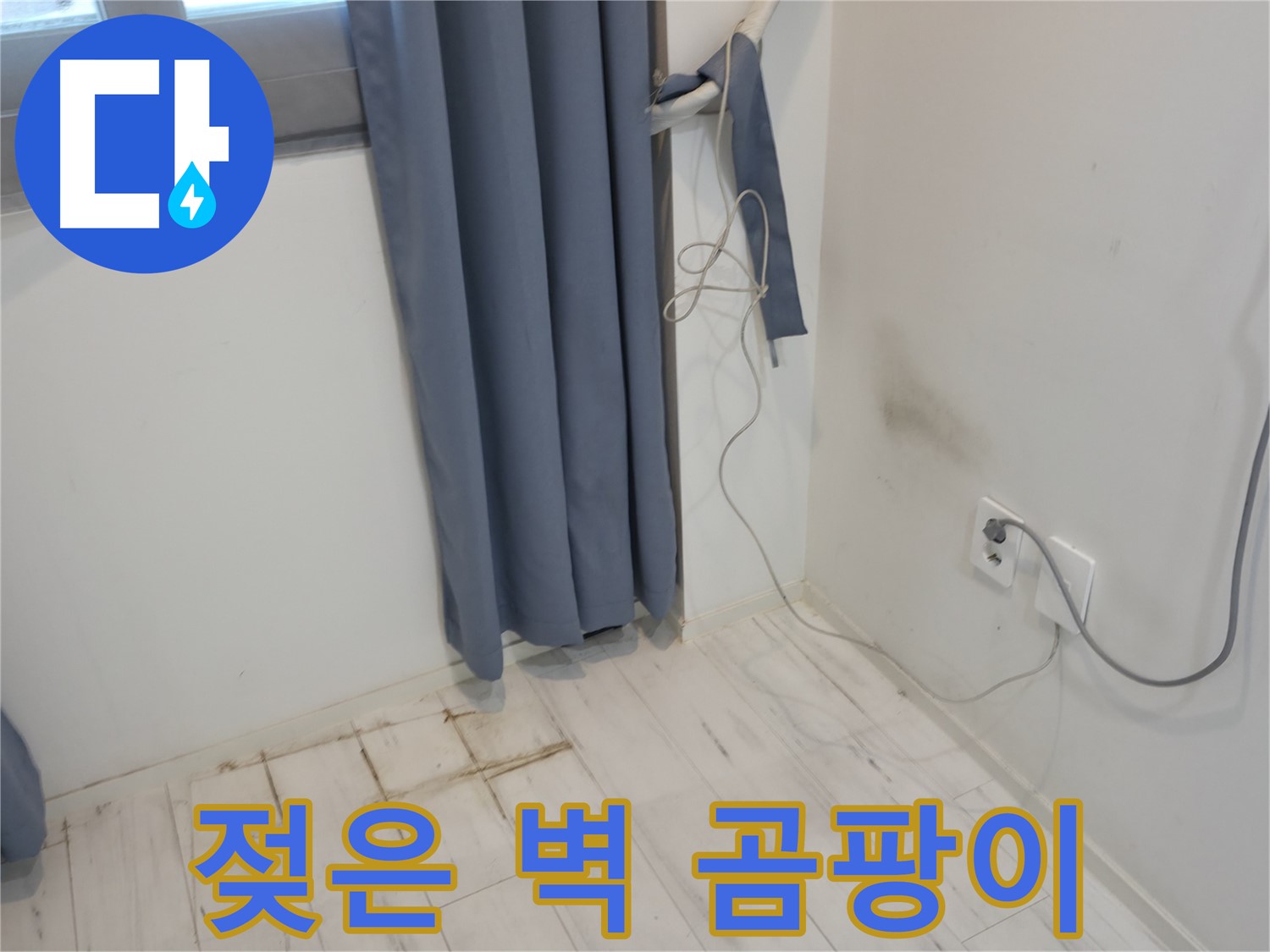 관악구 누수 - 젖은 벽과 곰팡이 문제 - 전문 기술