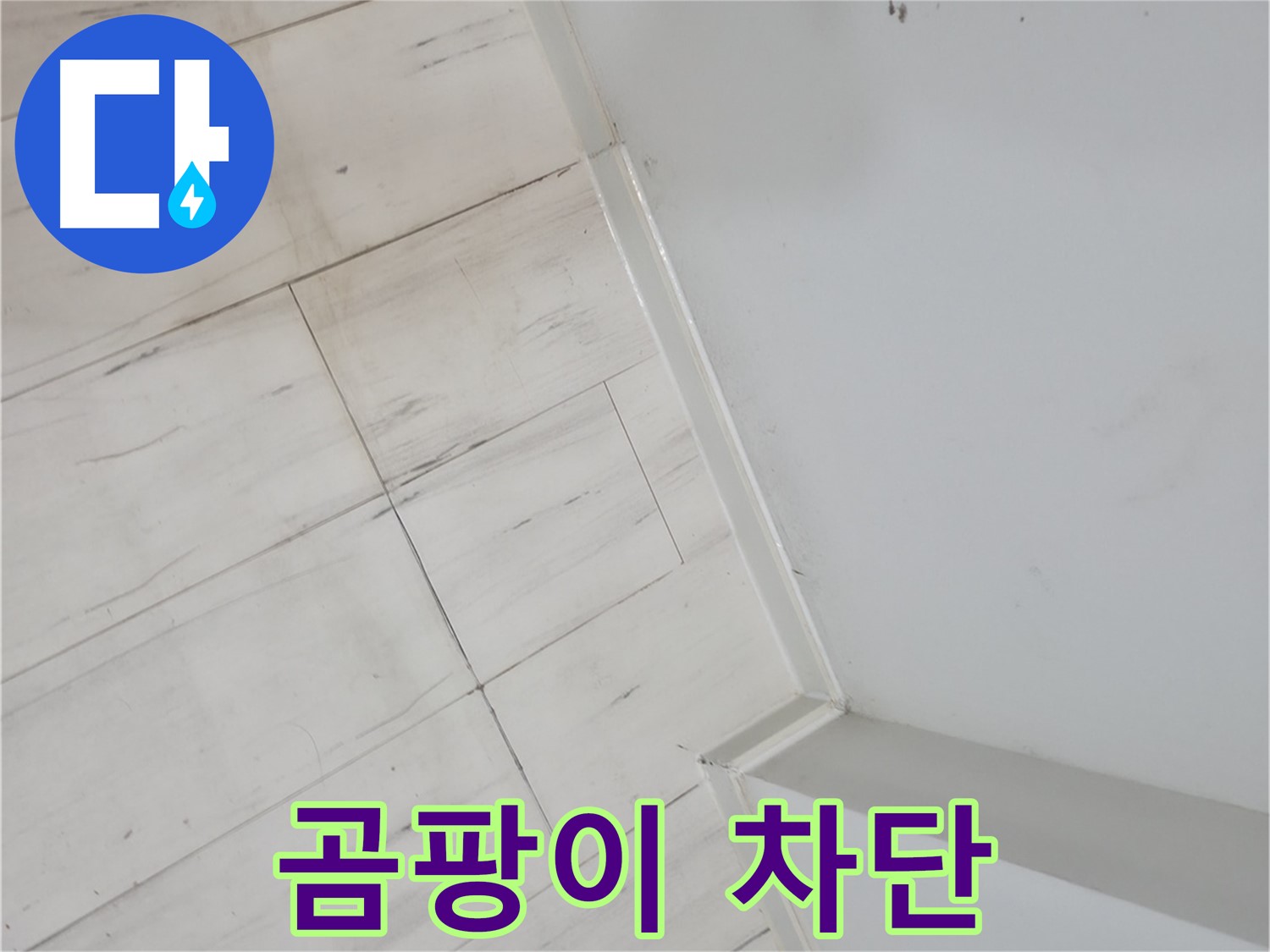 관악구 벽 곰팡이 누수 차단 시공